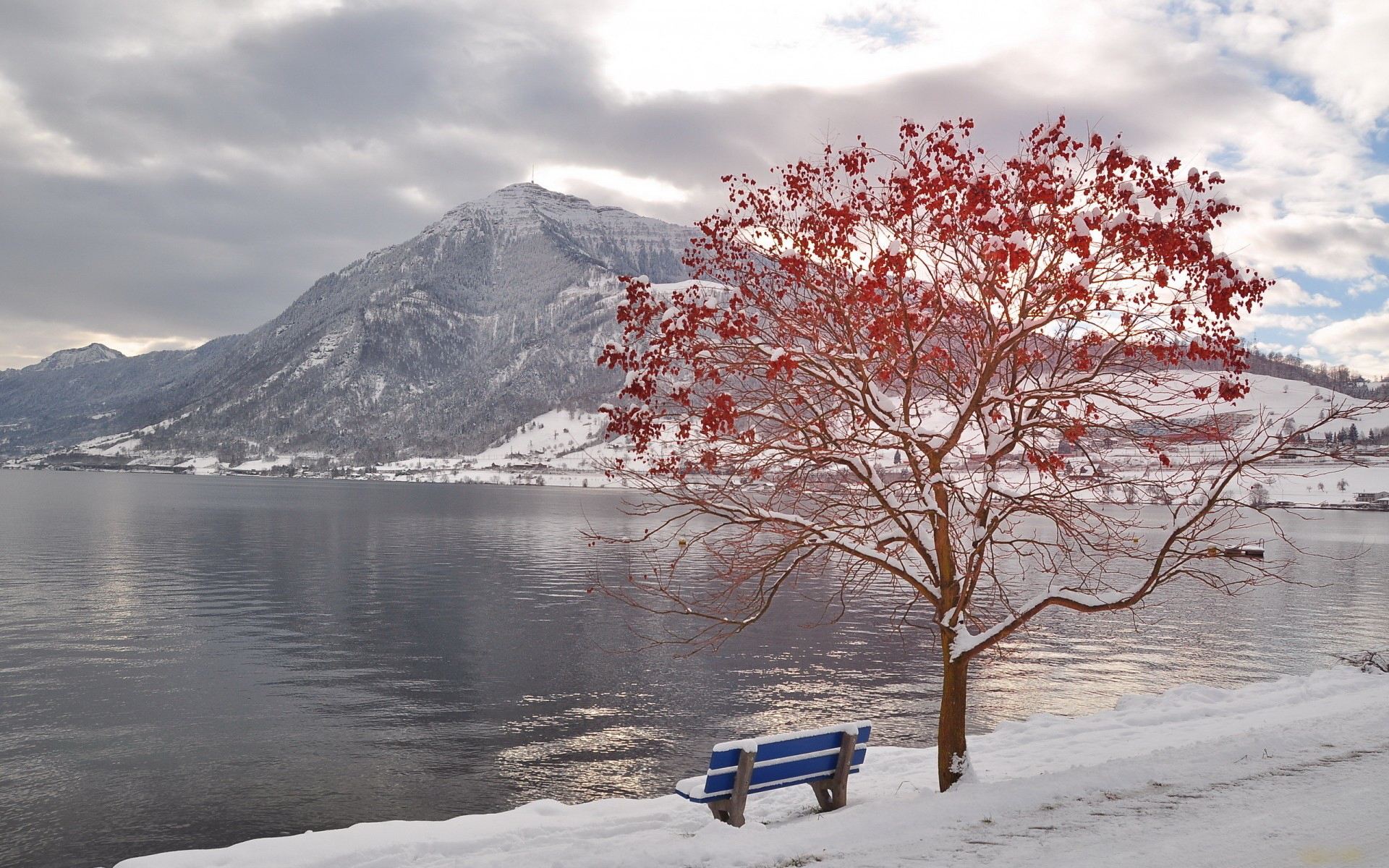 Handy-Wallpaper Winter, Fotografie kostenlos herunterladen.