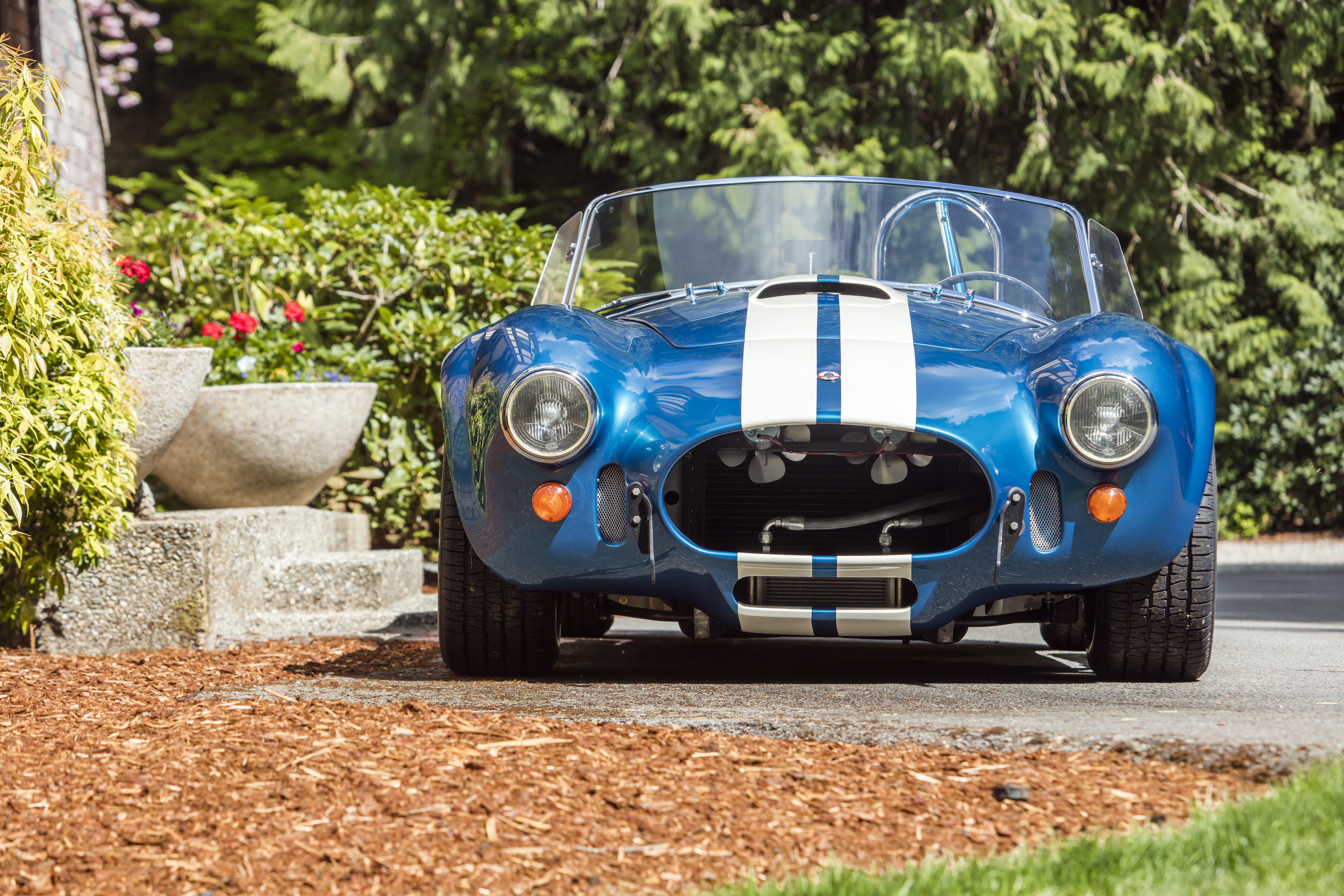 vehicles, shelby cobra 427