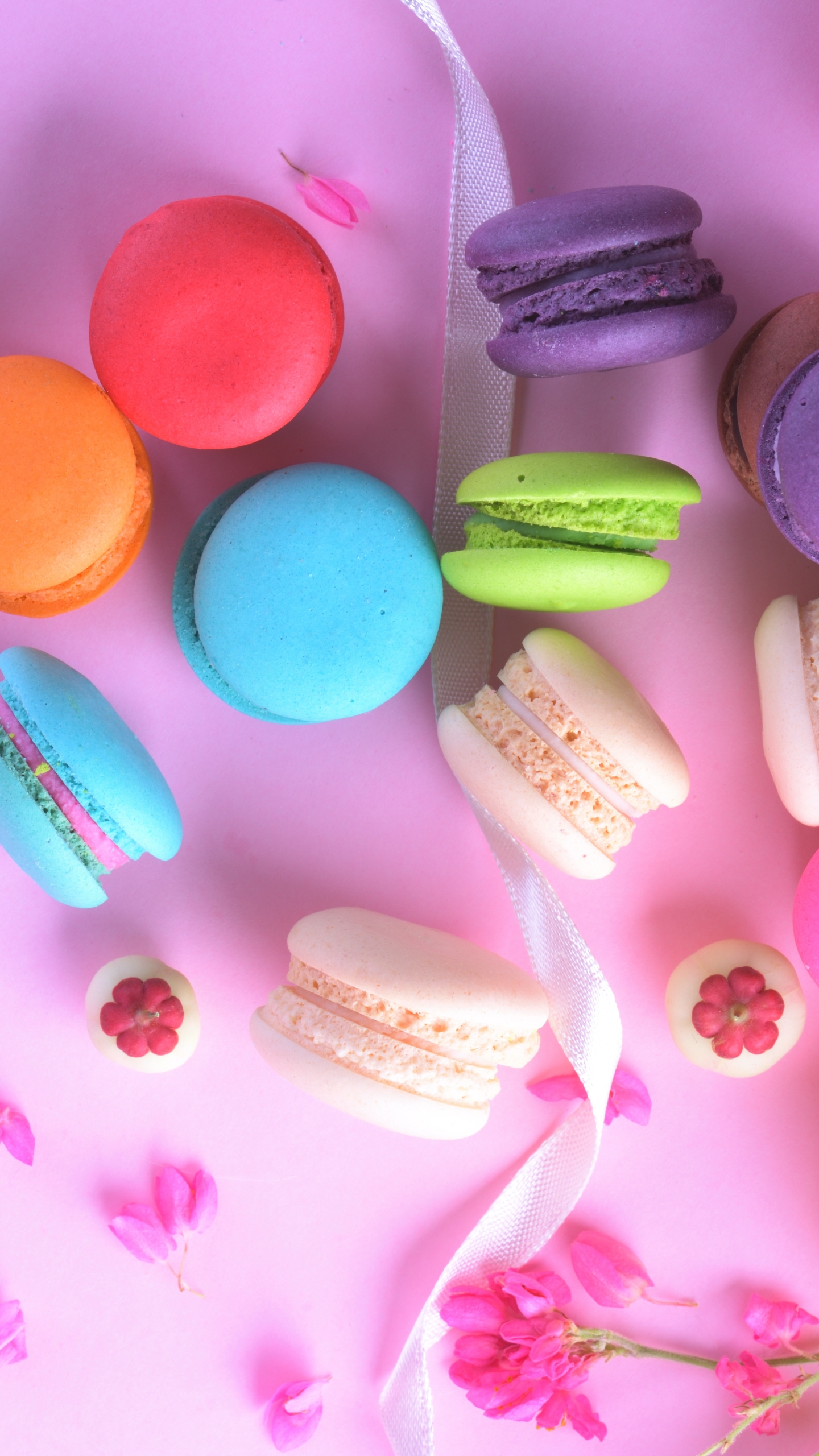 Download mobile wallpaper Food, Colors, Sweets, Macaron for free.