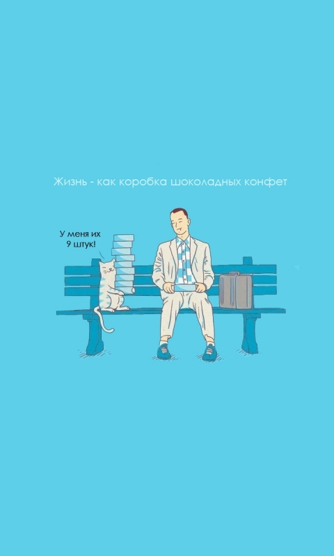 humor, movie, blue, forrest gump, cat, funny, candy