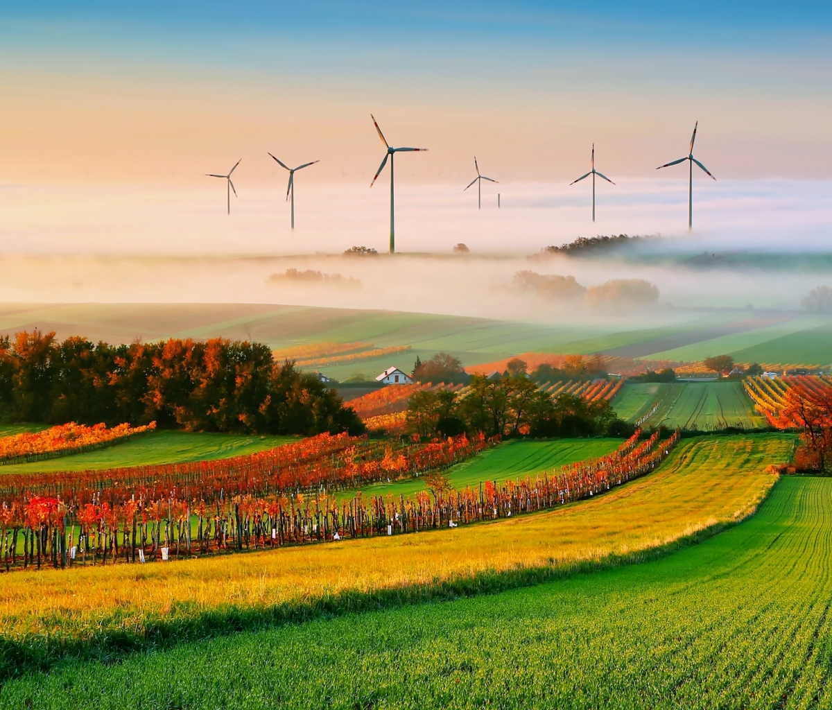 Free download wallpaper Landscape, Nature, Fog, Field, Wind Turbine, Man Made on your PC desktop