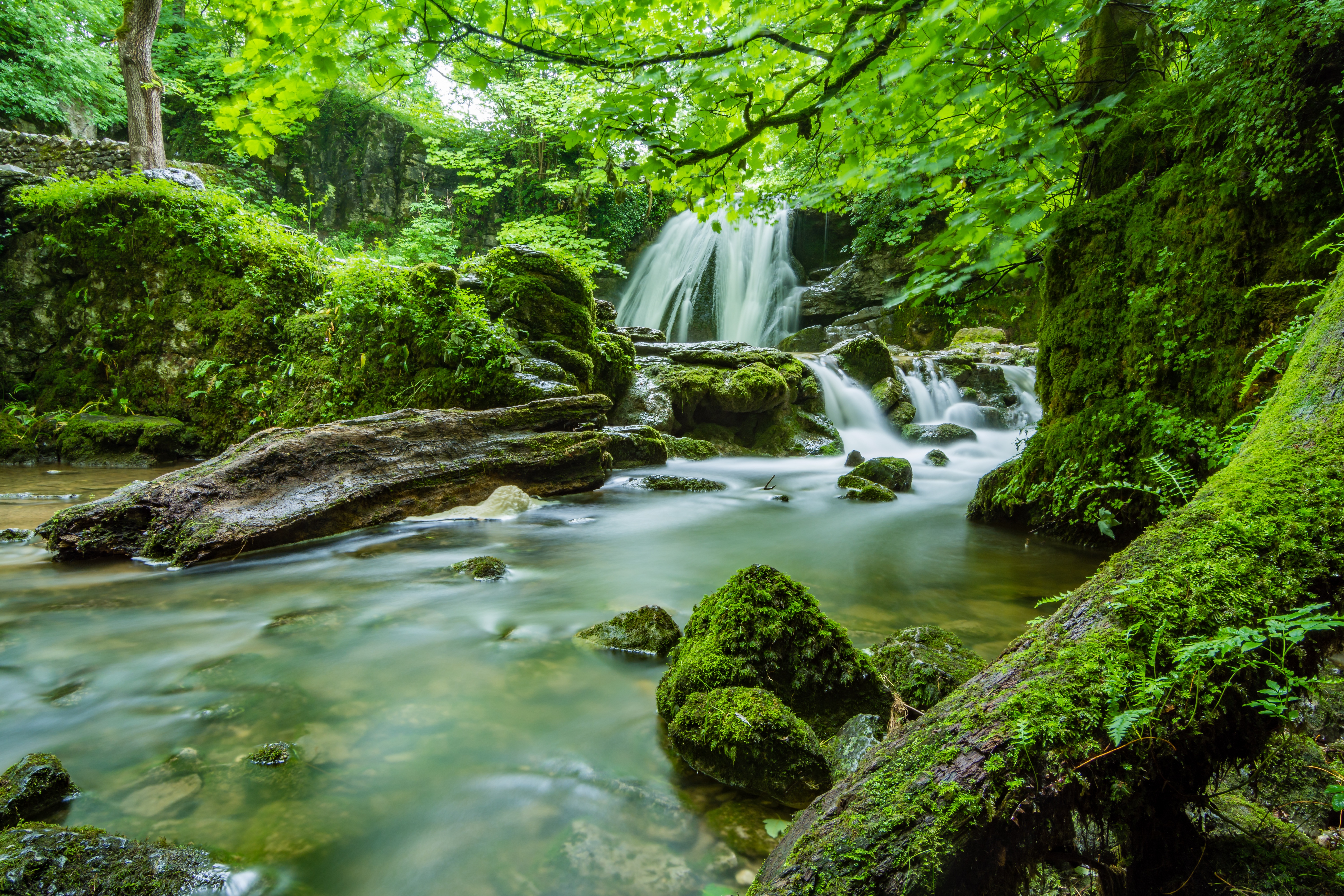Baixe gratuitamente a imagem Cachoeiras, Vegetação, Terra/natureza, Cachoeira na área de trabalho do seu PC