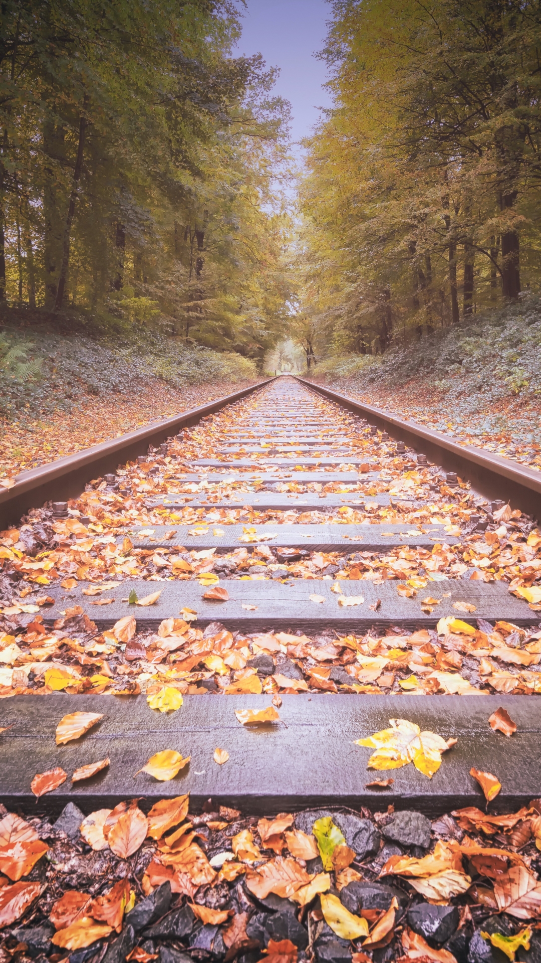 Download mobile wallpaper Nature, Tree, Leaf, Fall, Railroad, Man Made for free.