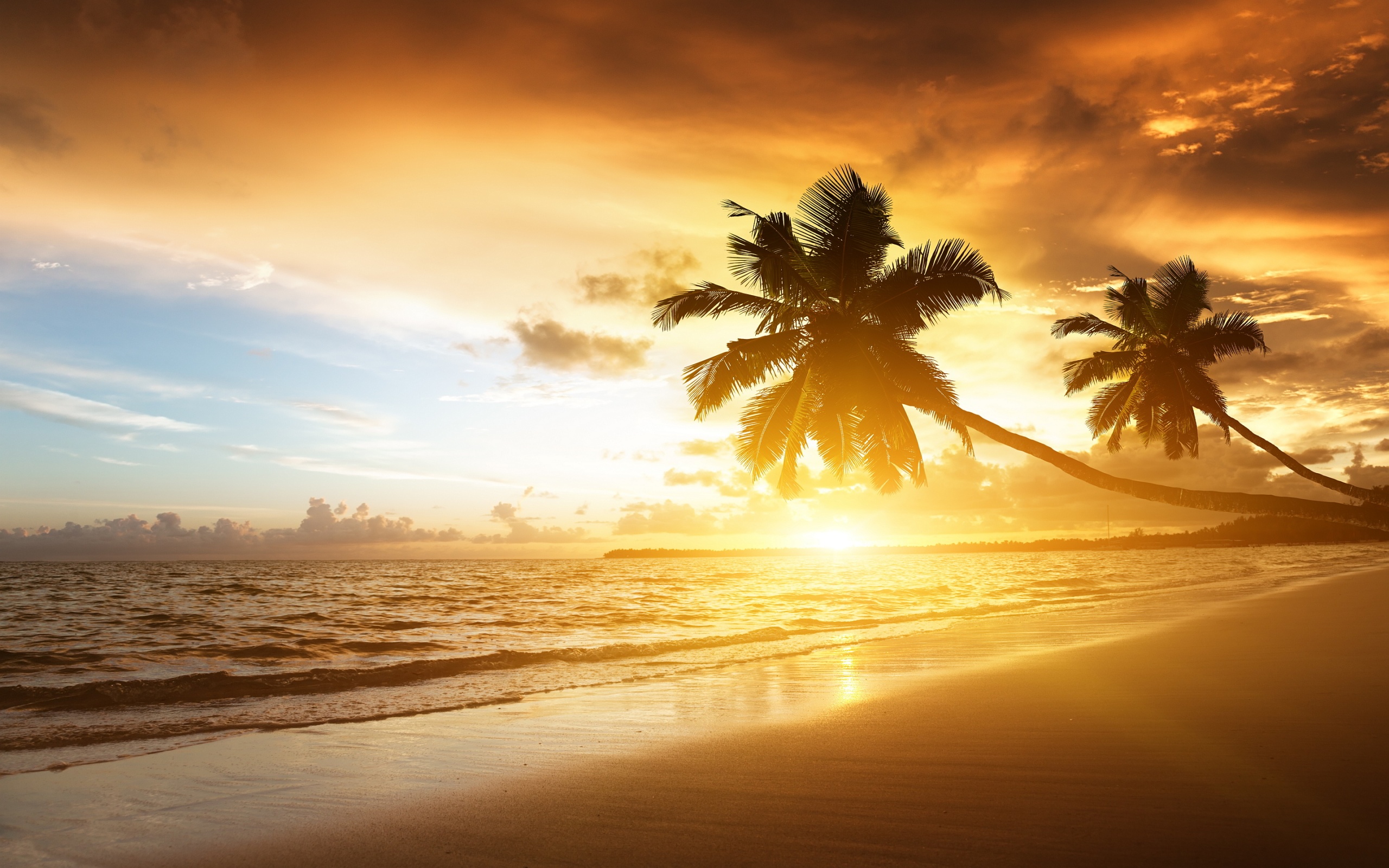 Download mobile wallpaper Nature, Sunset, Beach, Sand, Horizon, Ocean, Earth, Palm Tree for free.