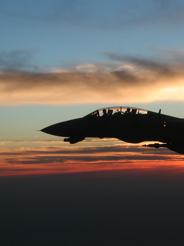 無料モバイル壁紙ジェット戦闘機, 軍隊, グラマン F 14 トムキャットをダウンロードします。