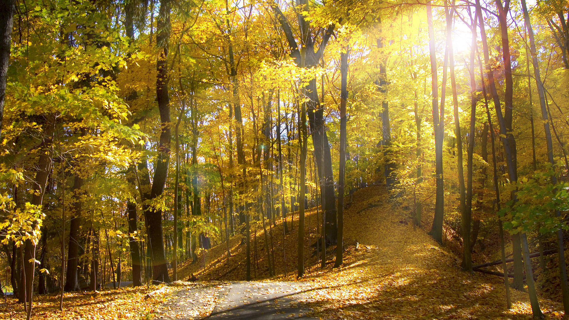 Descarga gratis la imagen Rayo De Sol, Tierra/naturaleza en el escritorio de tu PC