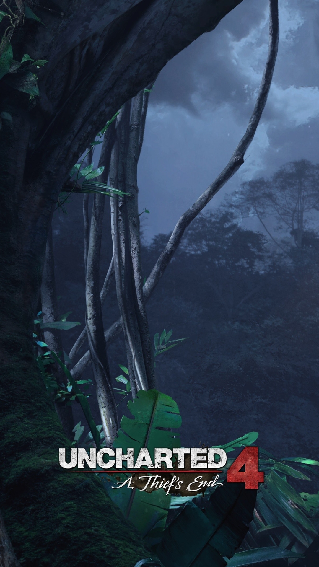Descarga gratuita de fondo de pantalla para móvil de Uncharted 4: El Final Del Ladrón, Inexplorado, Videojuego.