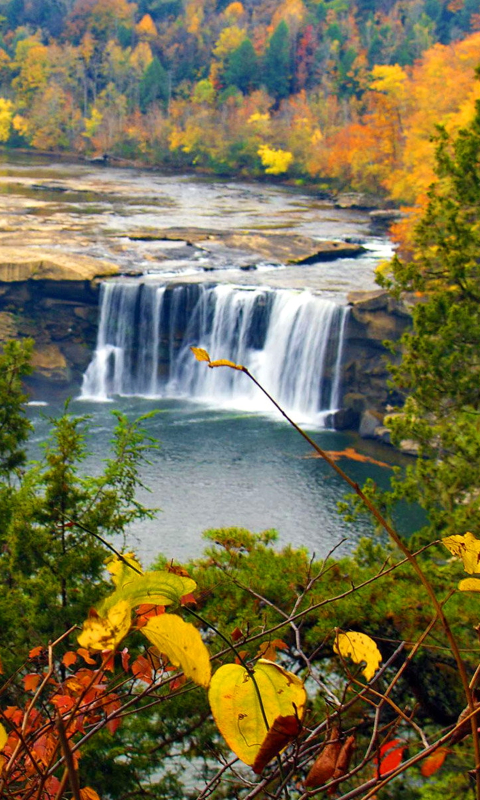 Descarga gratuita de fondo de pantalla para móvil de Otoño, Cascadas, Cascada, Bosque, Árbol, Tierra/naturaleza.