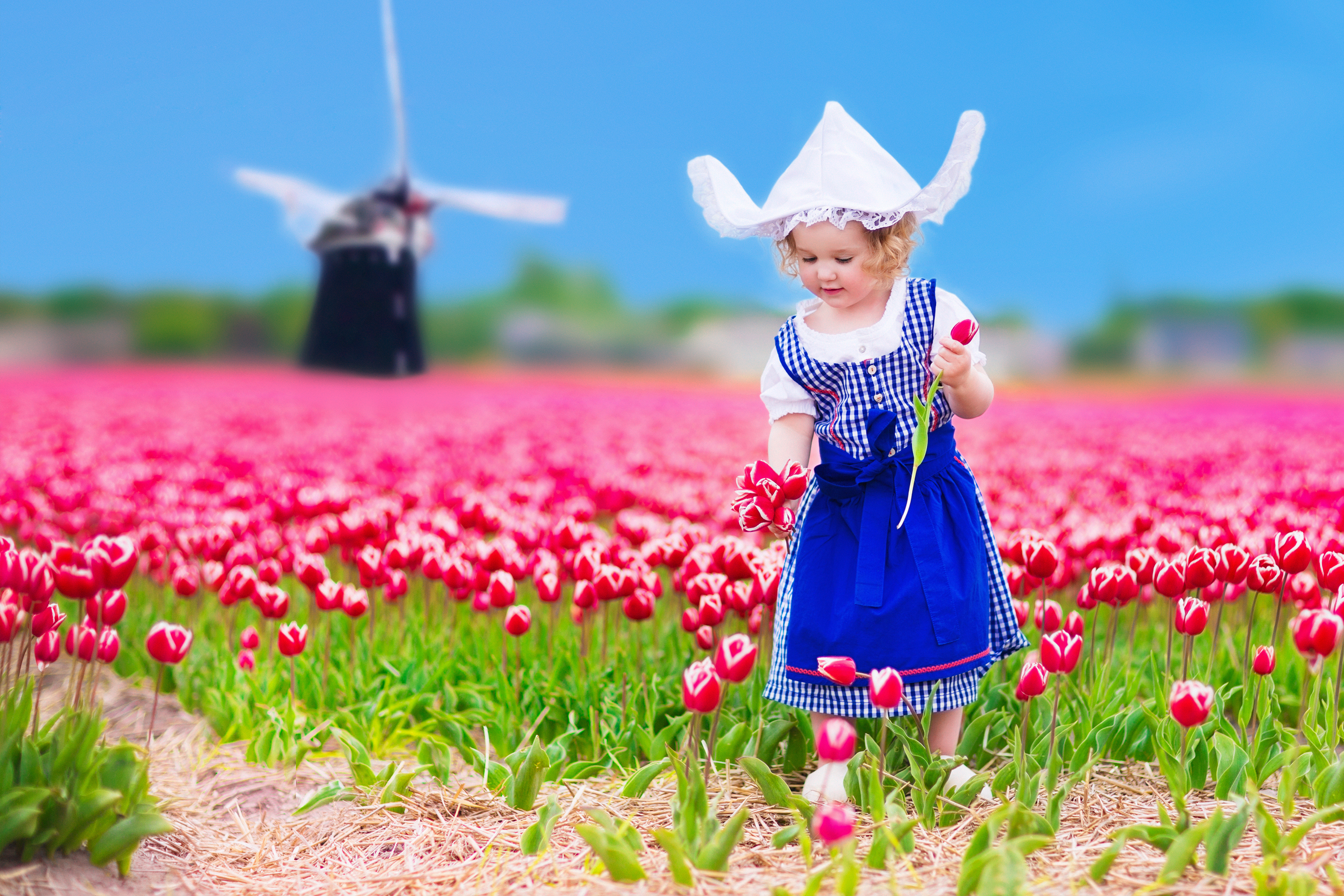 Téléchargez gratuitement l'image Champ, Enfant, Tulipe, Photographie, Moulin À Vent, Fleur Rose, Profondeur De Champ, Costume Traditionnel sur le bureau de votre PC