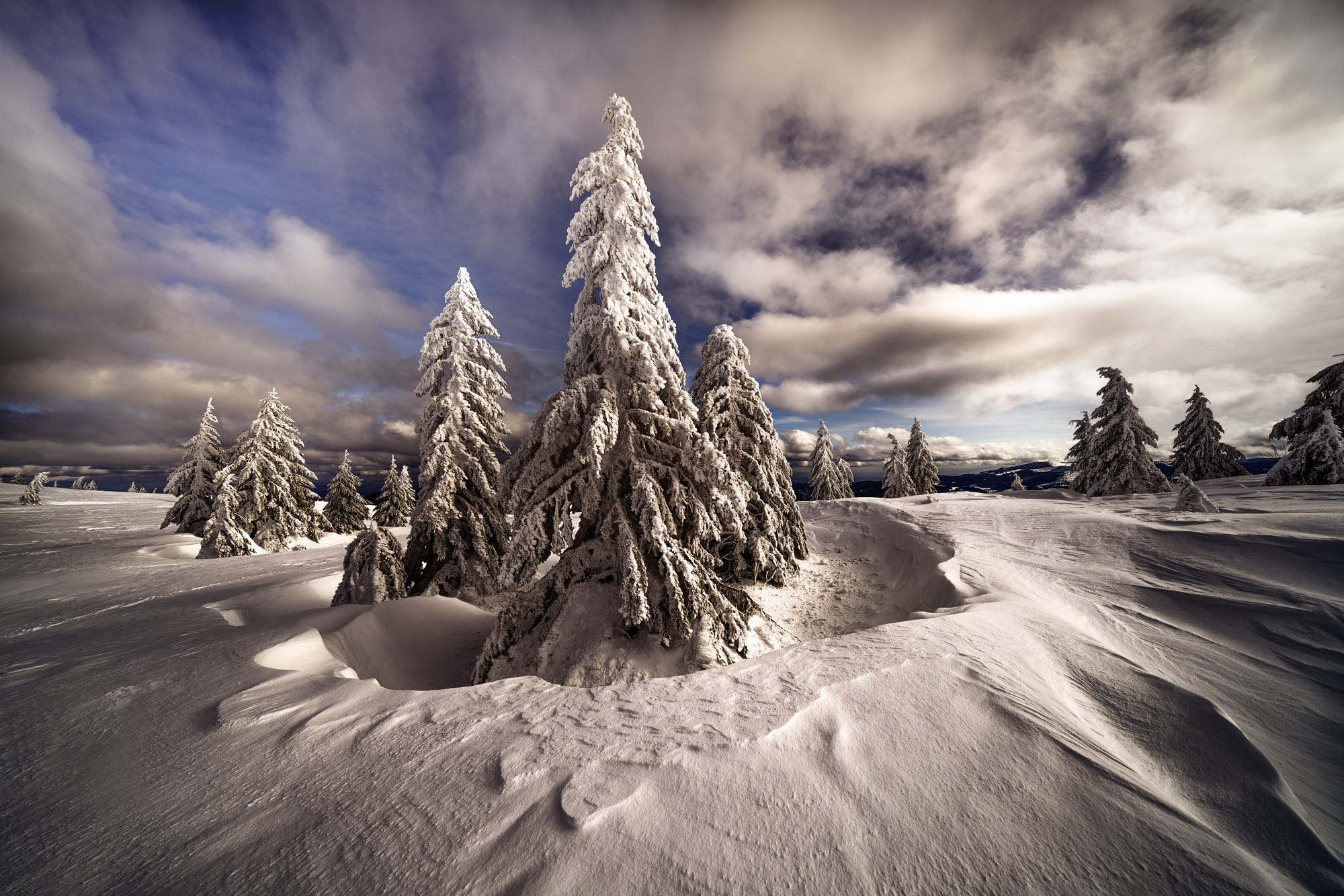 Скачать картинку Зима, Природа, Облака, Снег, Ель, Земля/природа в телефон бесплатно.