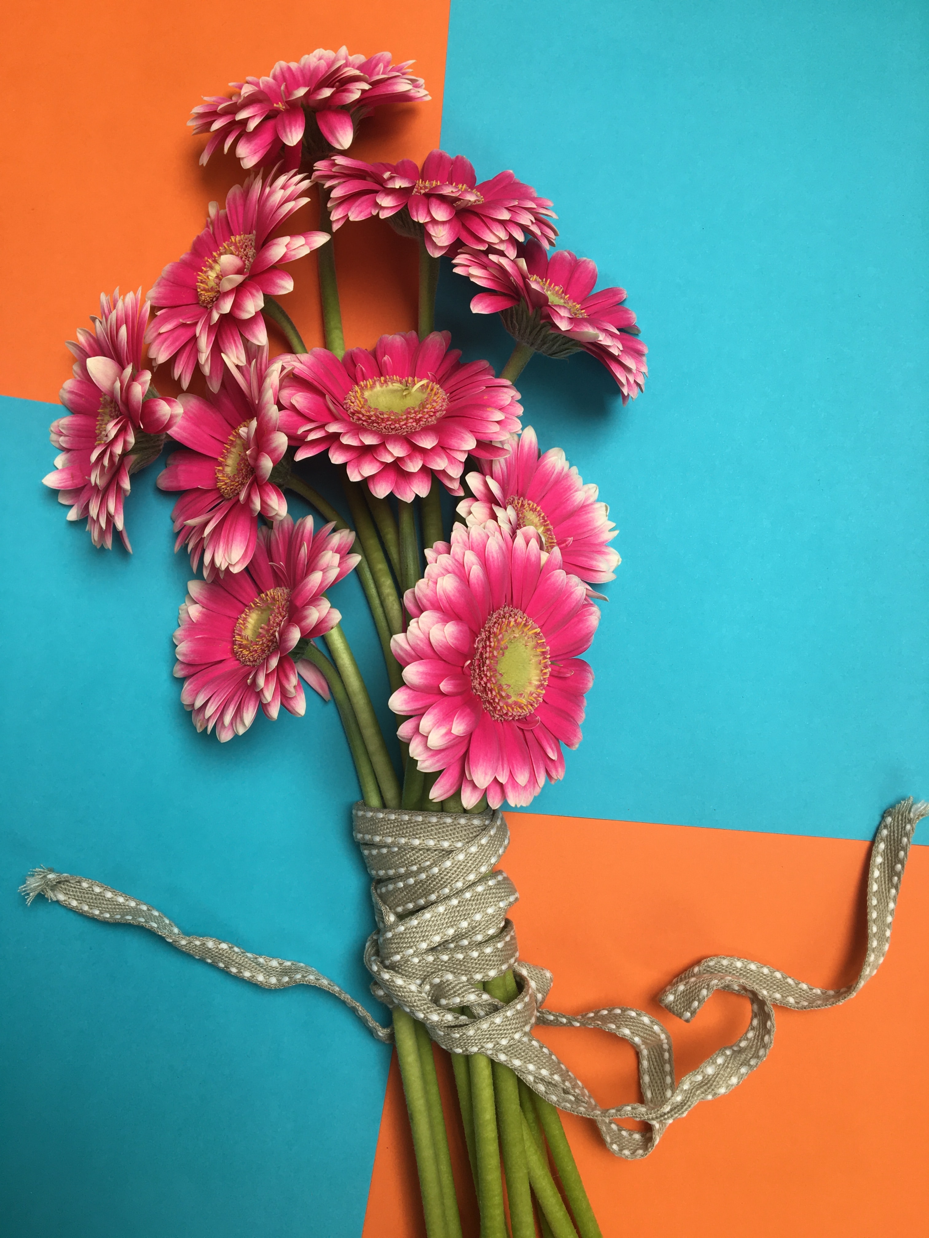 Download mobile wallpaper Bouquet, Petals, Gerbera, Flowers for free.