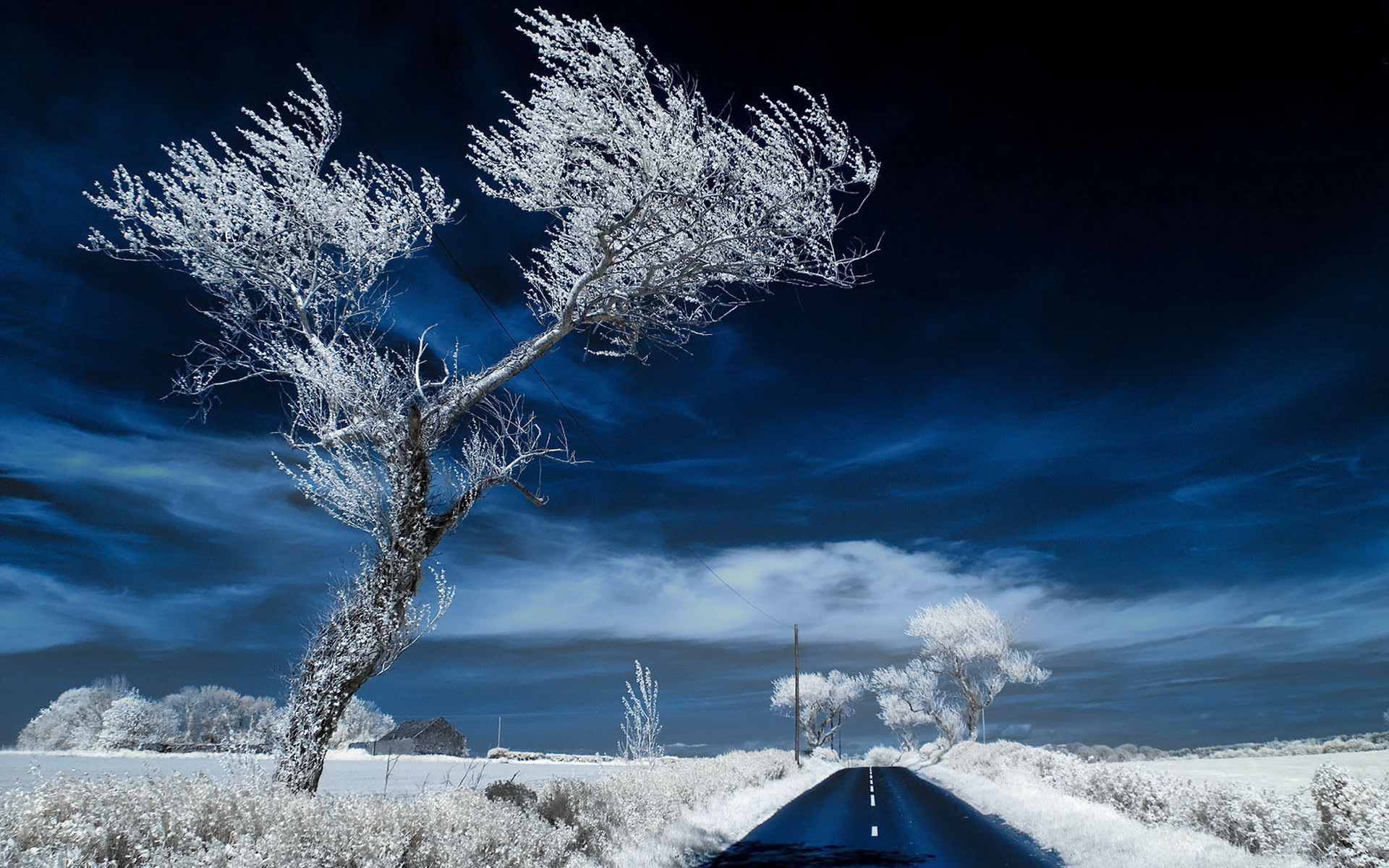 Скачать обои бесплатно Зима, Снег, Дорога, Дерево, Поле, Сделано Человеком картинка на рабочий стол ПК