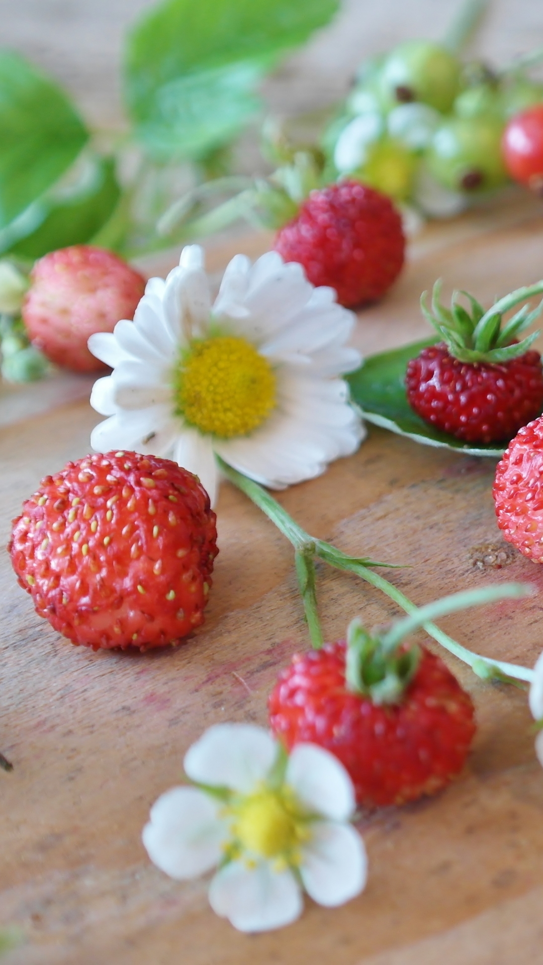 Download mobile wallpaper Fruits, Food, Strawberry, Berry, Fruit, White Flower for free.