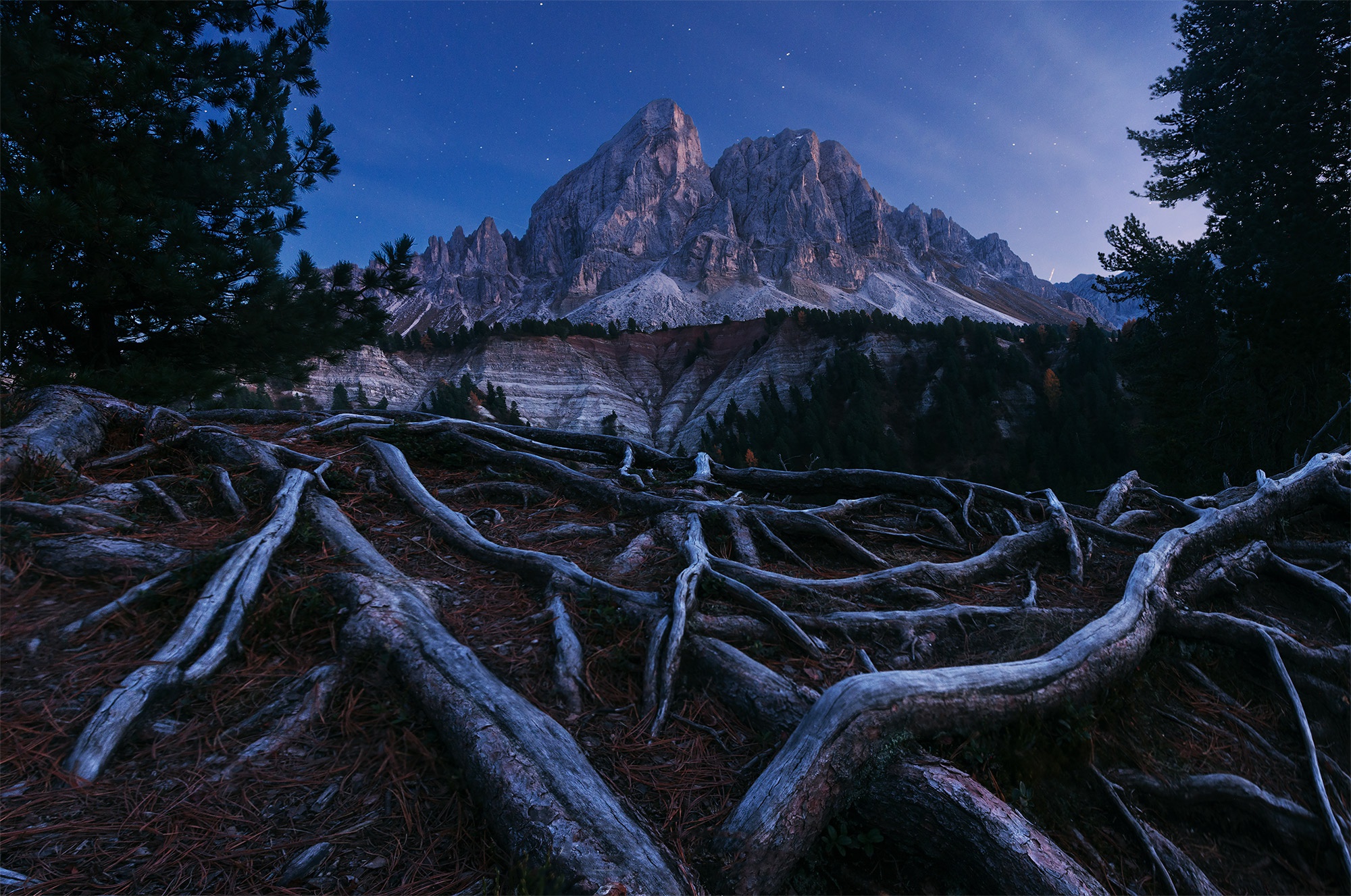 earth, tree root, forest, mountain, night, roots, starry sky