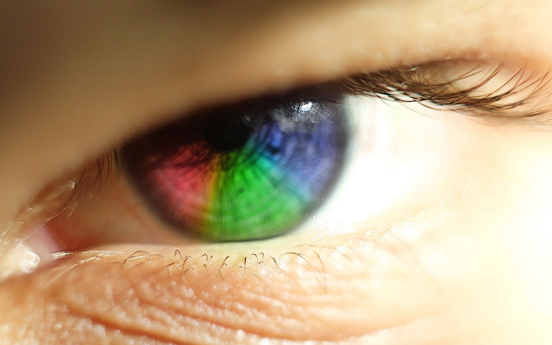 rainbow, macro, iridescent, eye, eyelash, eyelashes