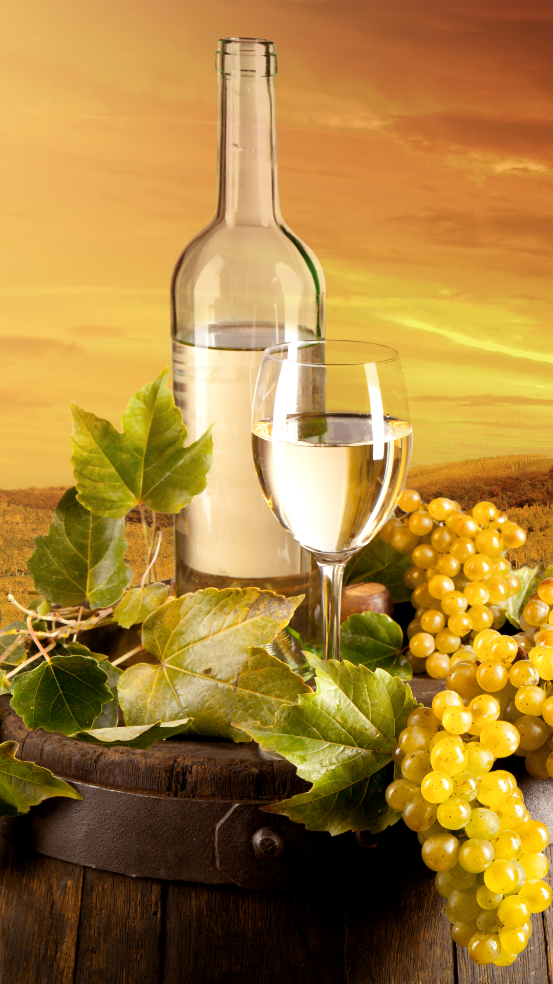 Download mobile wallpaper Food, Grapes, Still Life, Bottle, Vineyard, Wine for free.