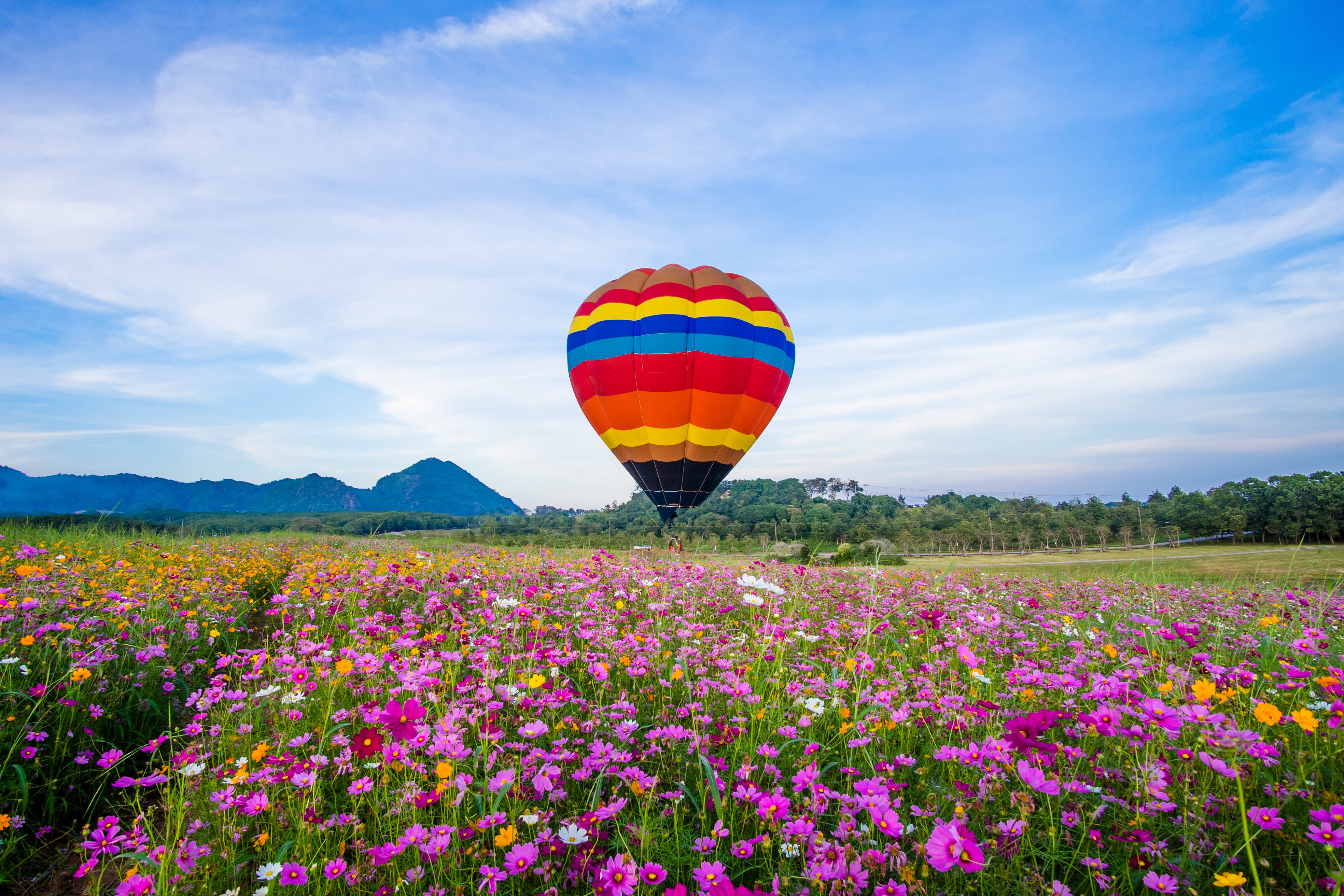 Free download wallpaper Field, Vehicles, Hot Air Balloon on your PC desktop