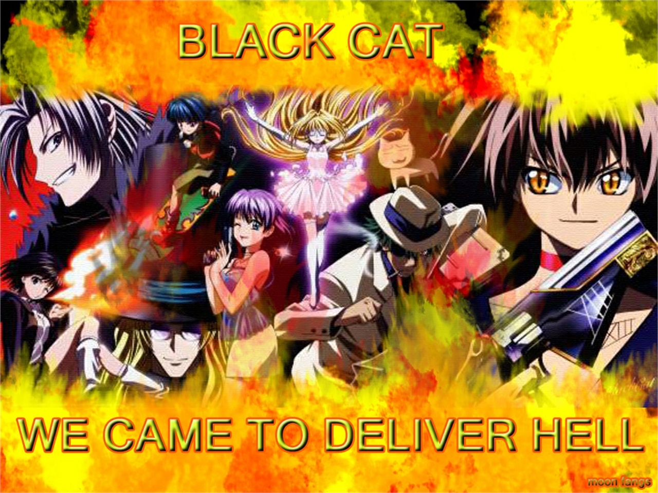 Free download wallpaper Anime, Black Cat on your PC desktop