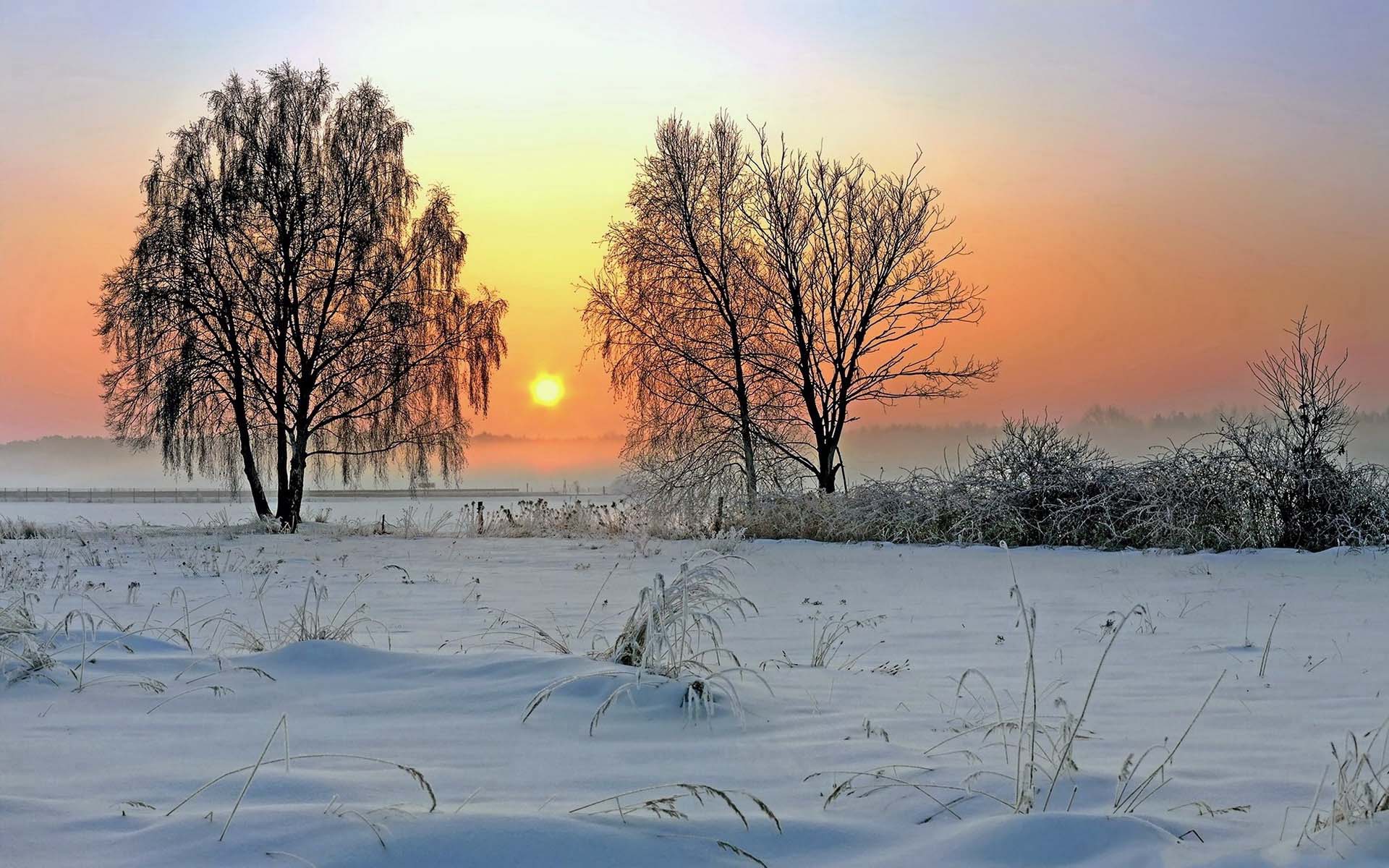 Téléchargez des papiers peints mobile Hiver, Arbre, Champ, Photographie, Neiger, Le Coucher Du Soleil gratuitement.