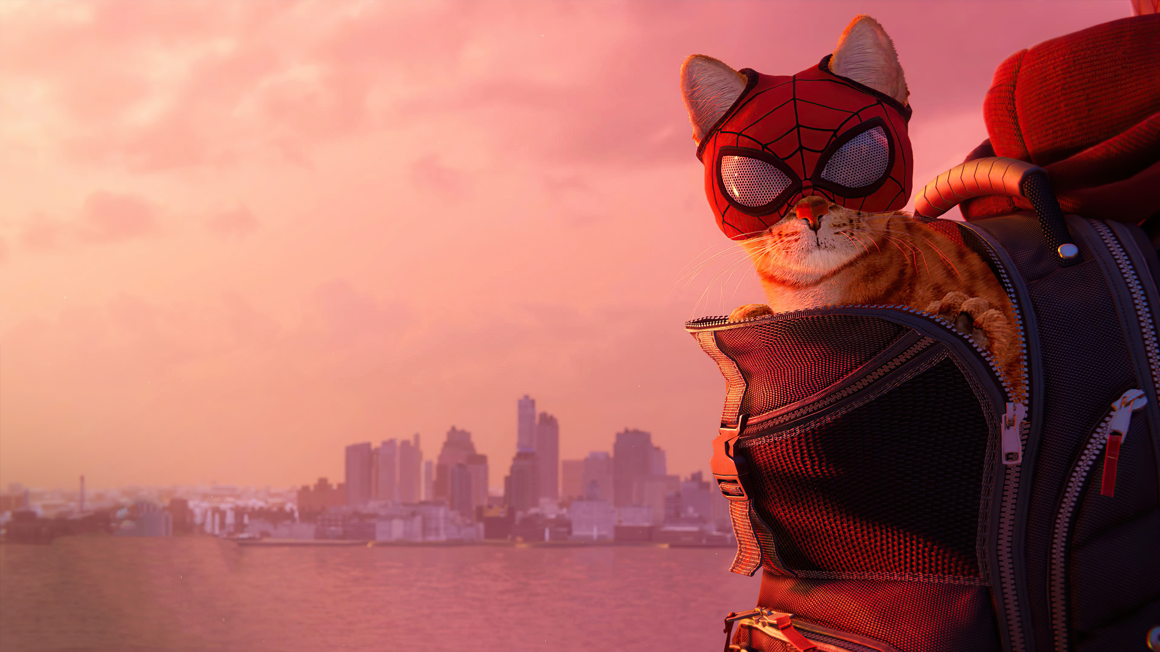 marvel's spider man: miles morales, video game, cat