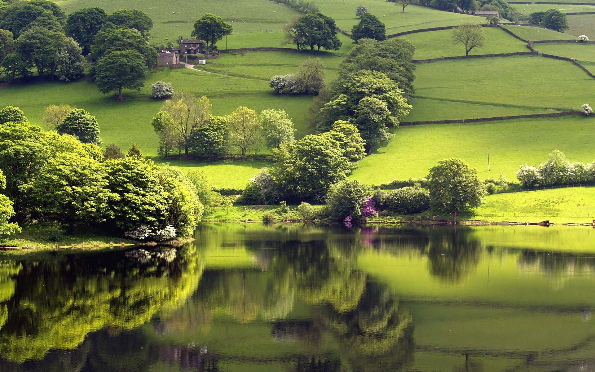 Descarga gratuita de fondo de pantalla para móvil de Tierra/naturaleza, Reflejo.