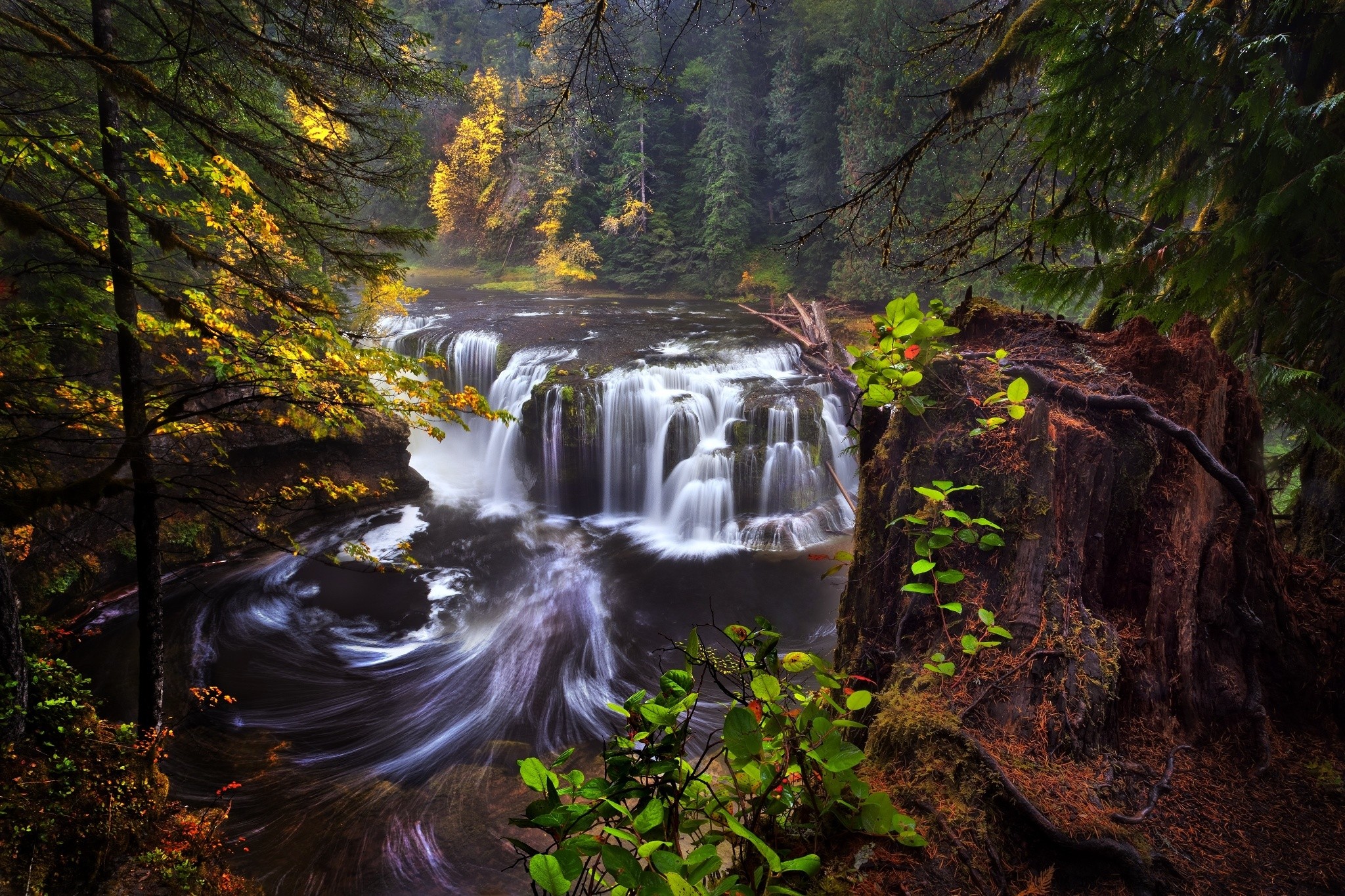 PCデスクトップに自然, 川, 滝, 森, 地球画像を無料でダウンロード