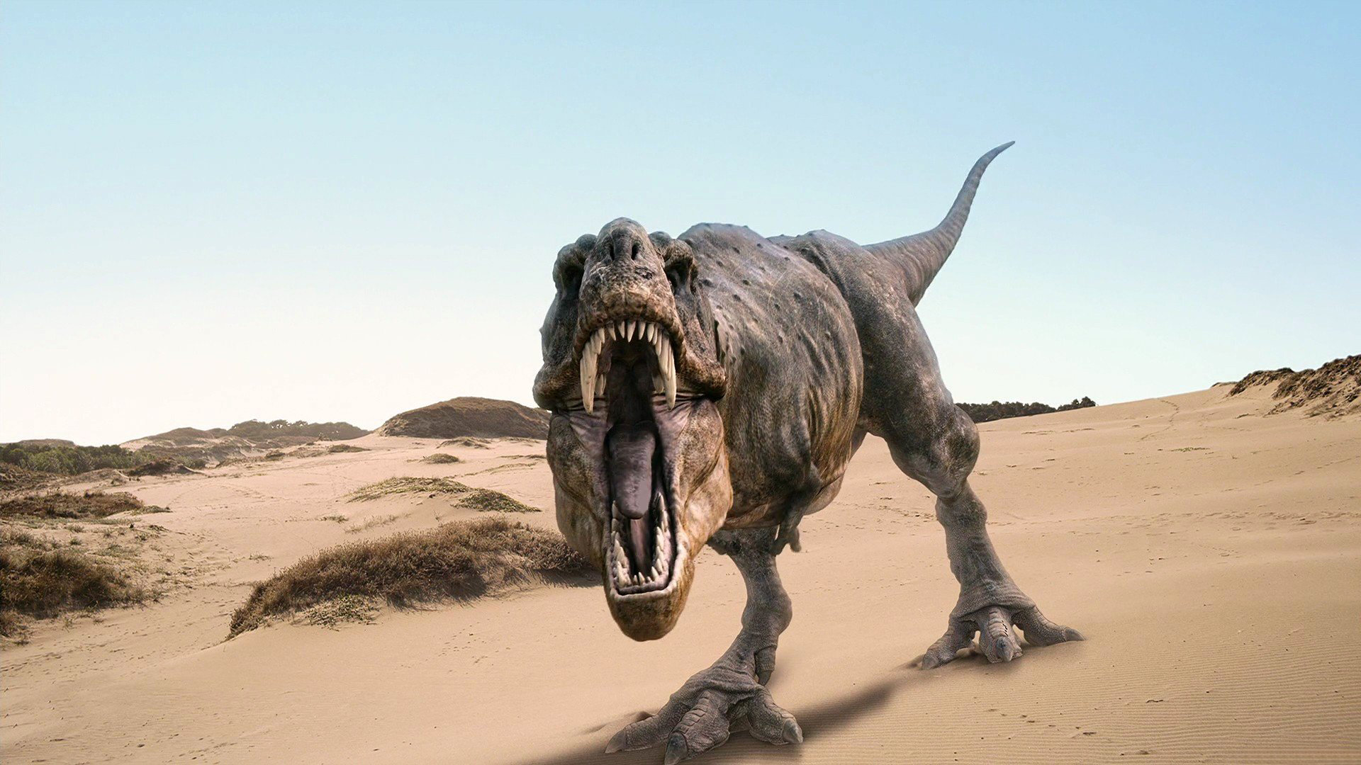 266474 télécharger le fond d'écran animaux, tyrannosaure rex, dinosaures - économiseurs d'écran et images gratuitement