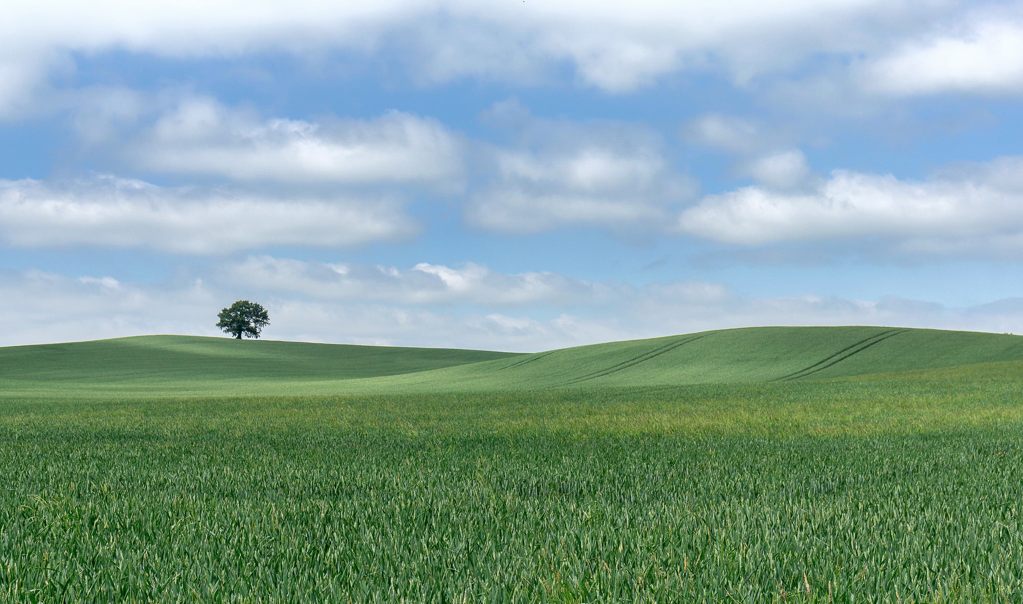 Download mobile wallpaper Landscape, Nature, Summer, Tree, Earth, Field, Hill, Cloud, Lonely Tree for free.