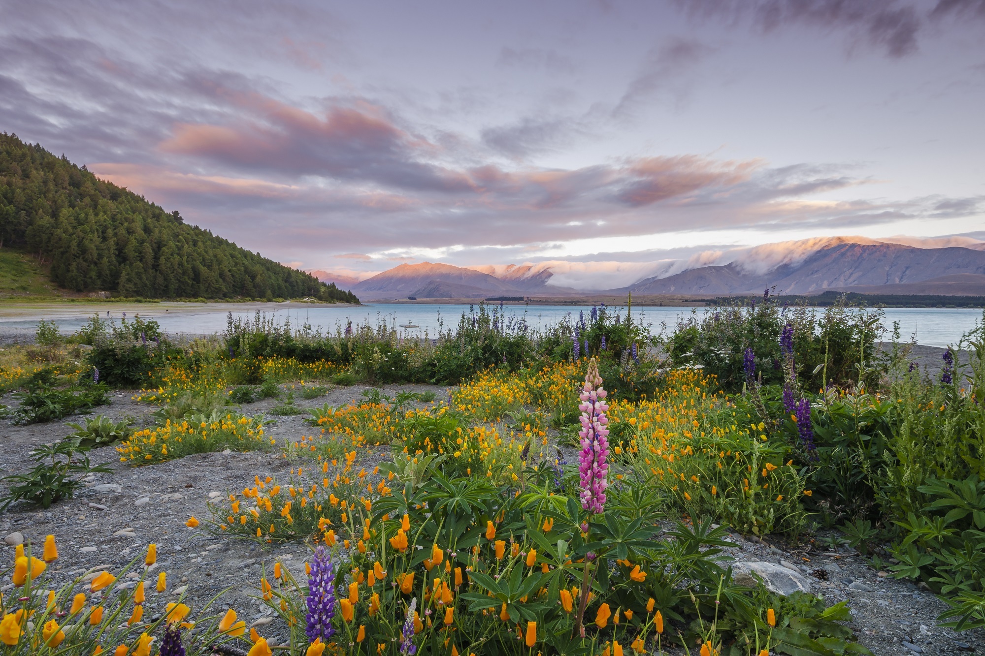 Free download wallpaper Landscape, Nature, Grass, Sky, Mountain, Lake, Flower, Earth, Cloud on your PC desktop