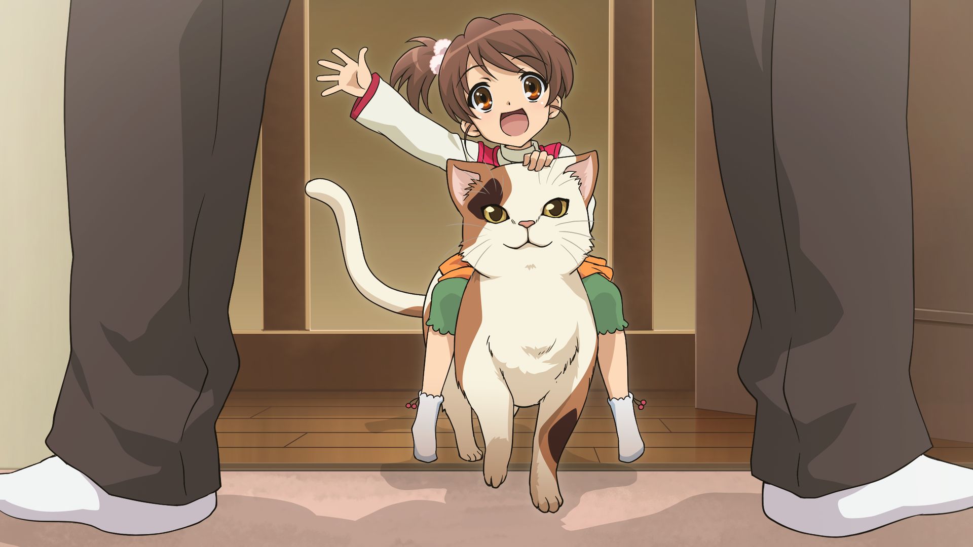 740451 descargar fondo de pantalla animado, suzumiya haruhi no yūutsu, gato, hermana de kyon (haruhi), shamisén (haruhi): protectores de pantalla e imágenes gratis