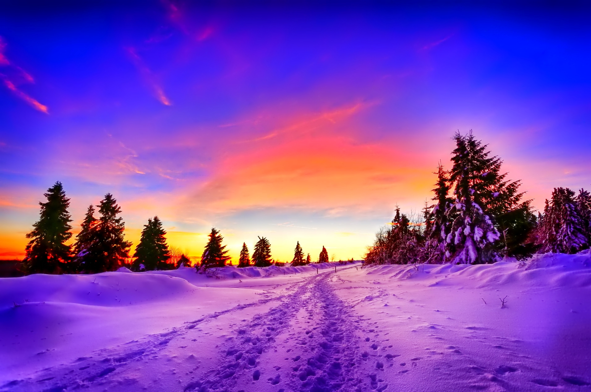 Скачать картинку Зима, Закат, Снег, Дерево, Земля/природа в телефон бесплатно.