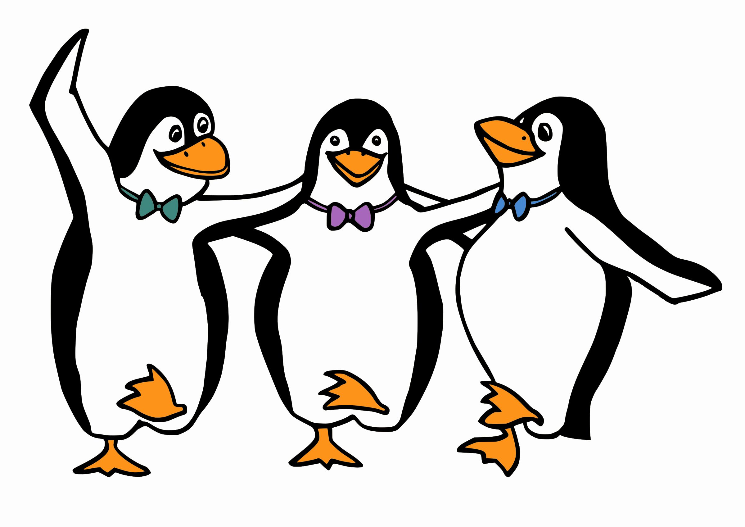 Descarga gratuita de fondo de pantalla para móvil de Animales, Pingüino, Aves.