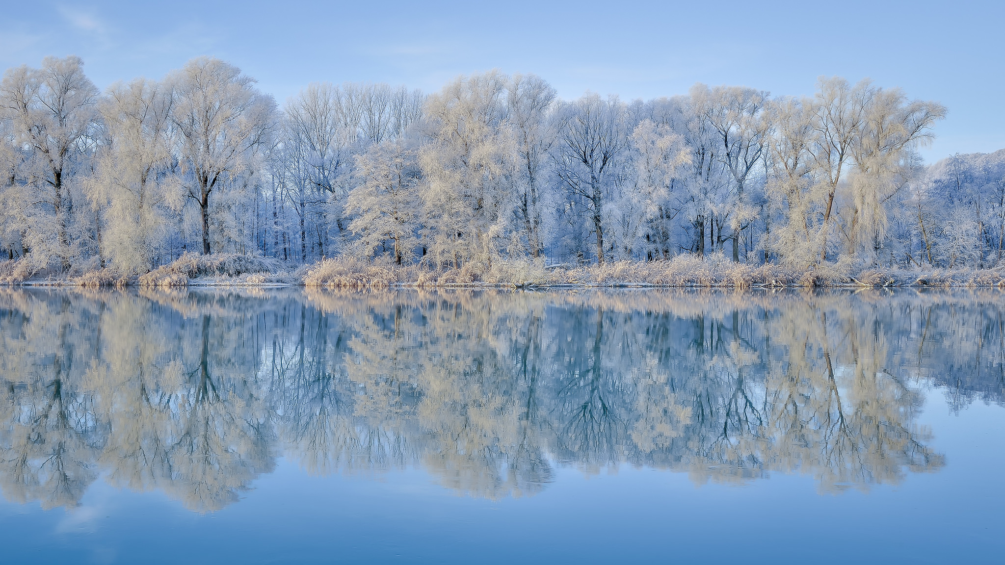 Free download wallpaper Winter, Snow, Lake, Reflection, Tree, Earth on your PC desktop