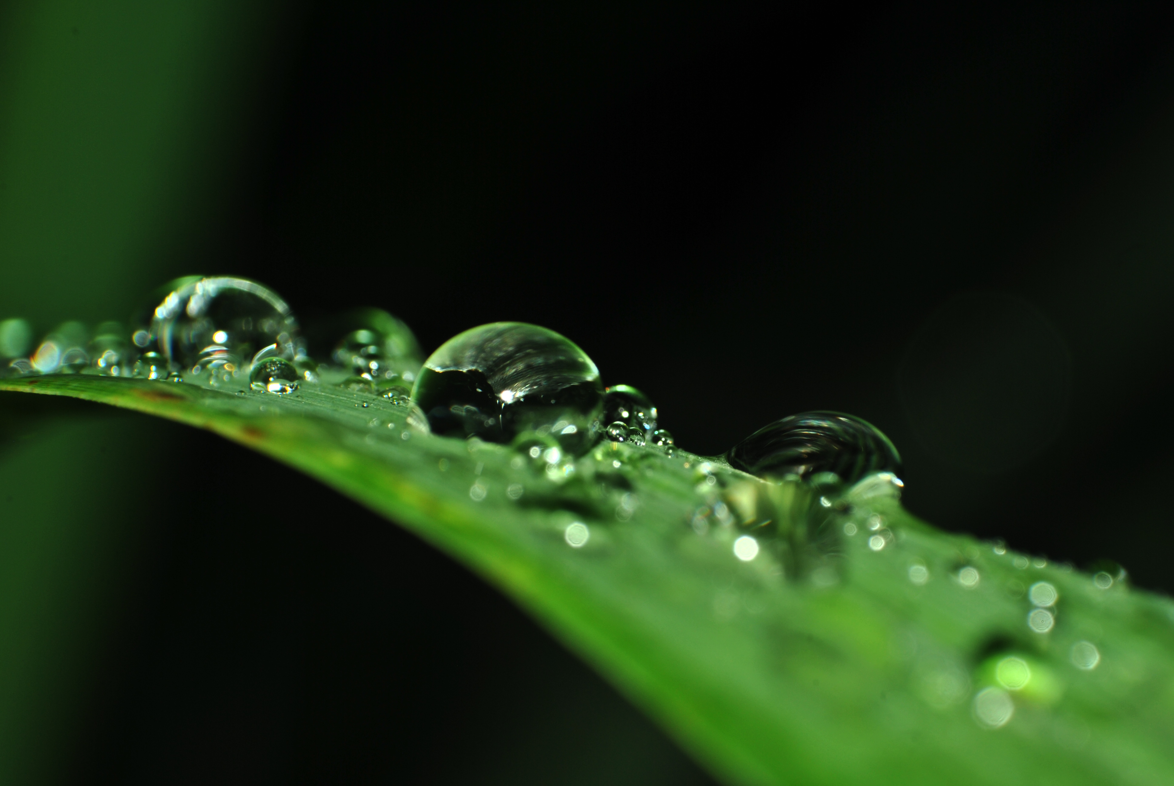 Free download wallpaper Macro, Leaf, Earth, Water Drop on your PC desktop