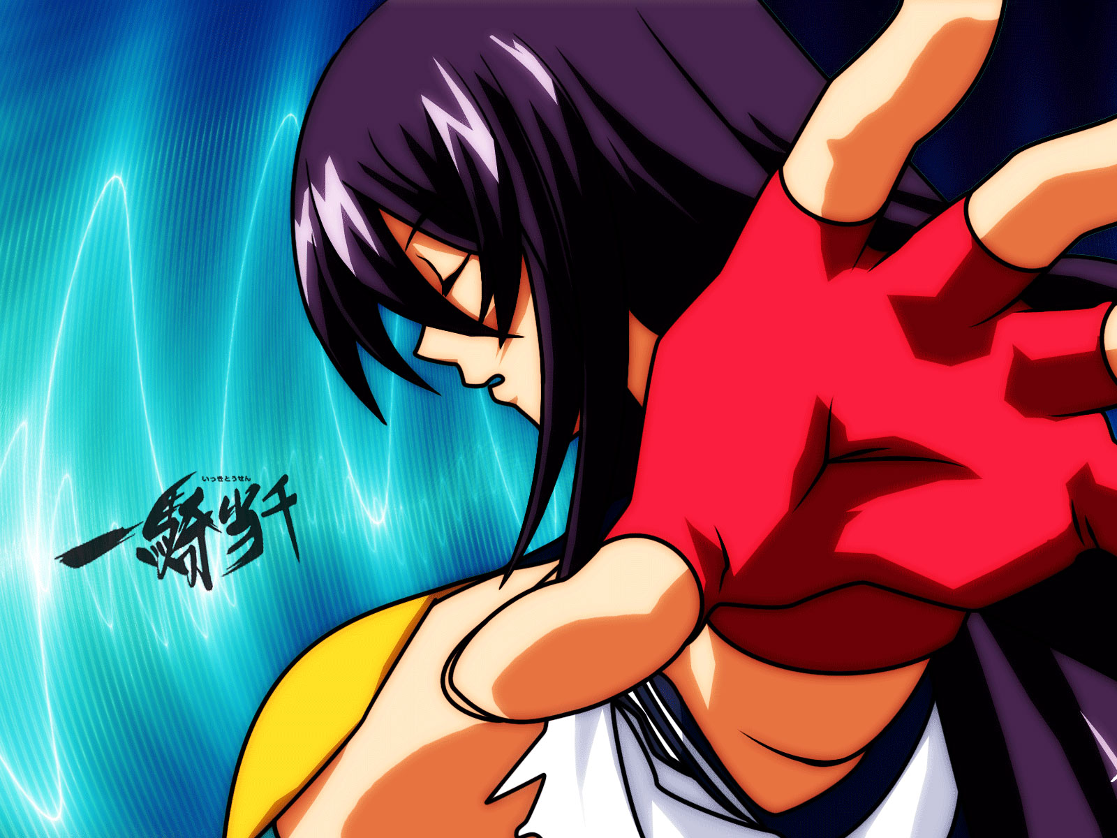 Download mobile wallpaper Anime, Ikki Tousen for free.