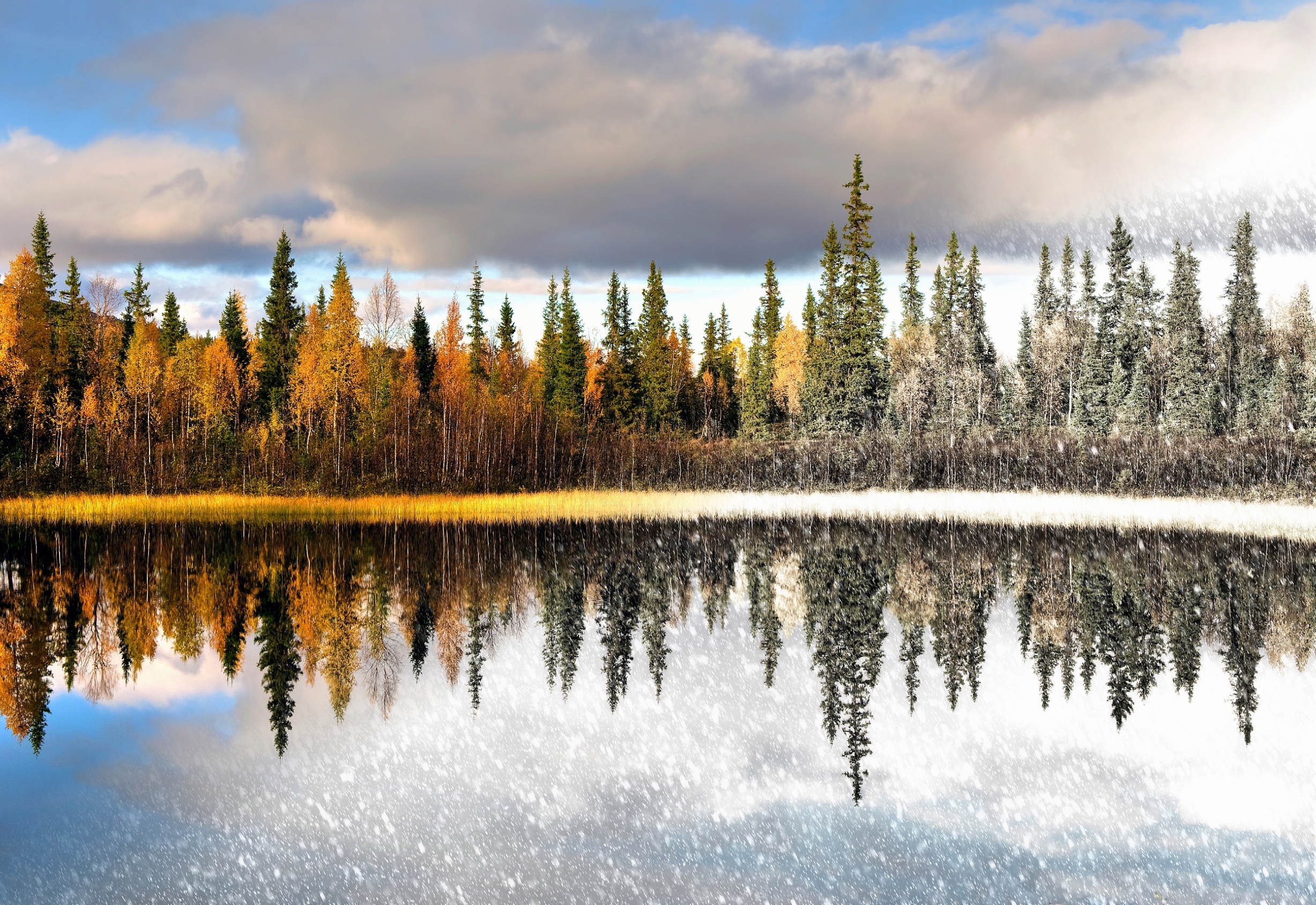 PCデスクトップに冬, 木, 秋, 湖, 反射, 地球, 降雪, シーズン画像を無料でダウンロード