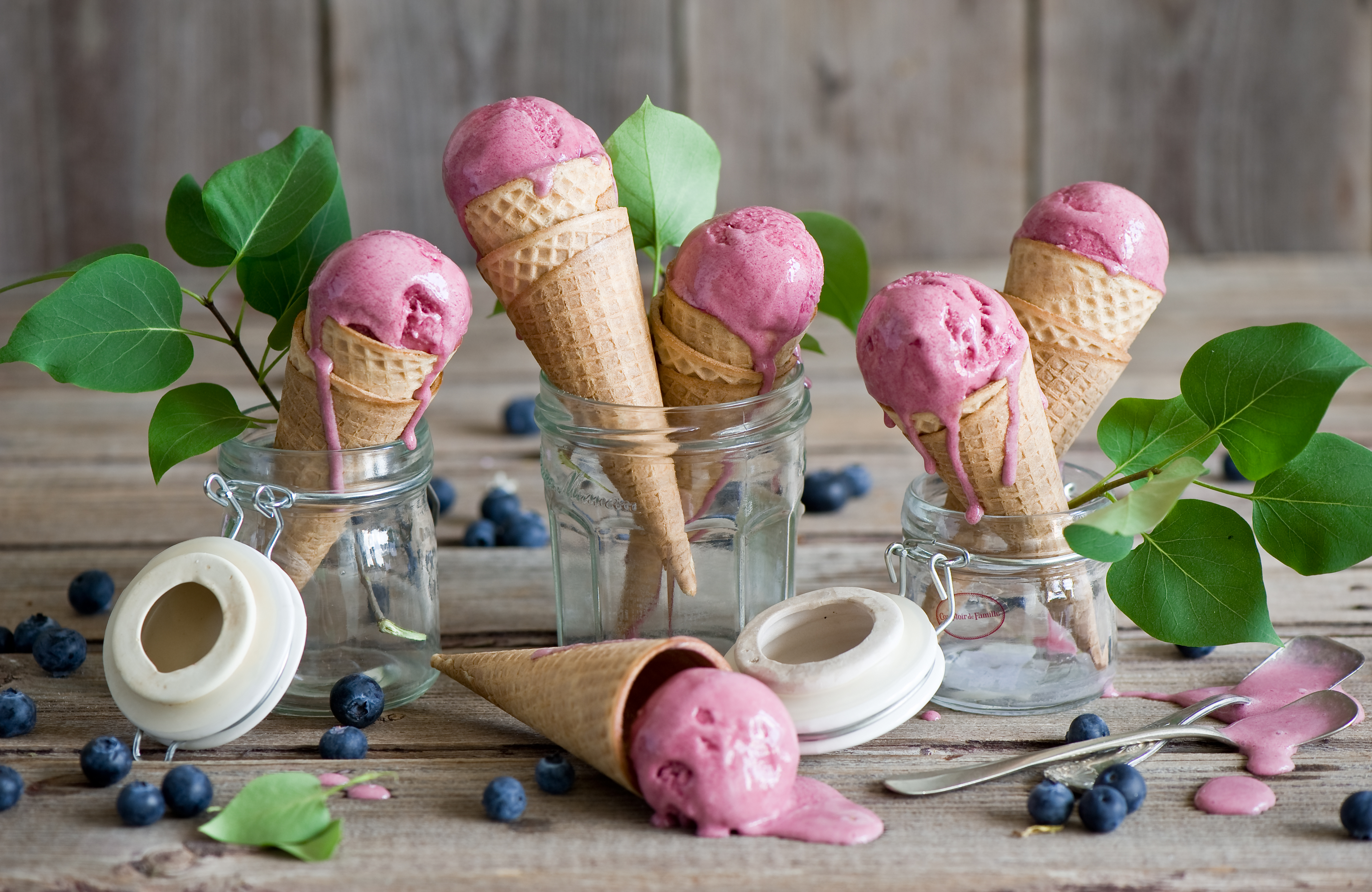 Free download wallpaper Food, Summer, Blueberry, Ice Cream, Still Life on your PC desktop