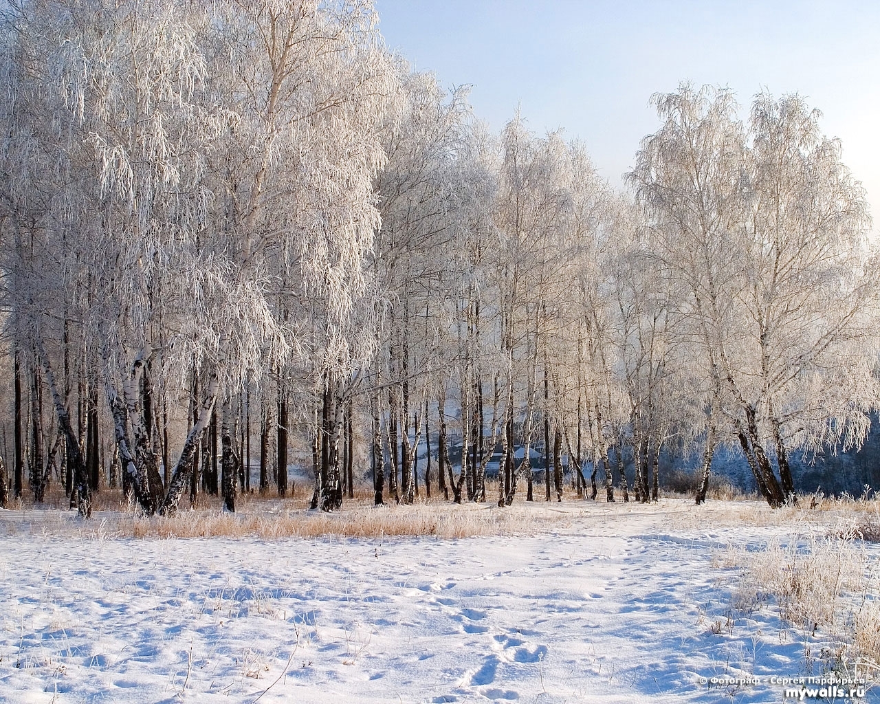 無料モバイル壁紙風景, 冬, 雪, 木をダウンロードします。