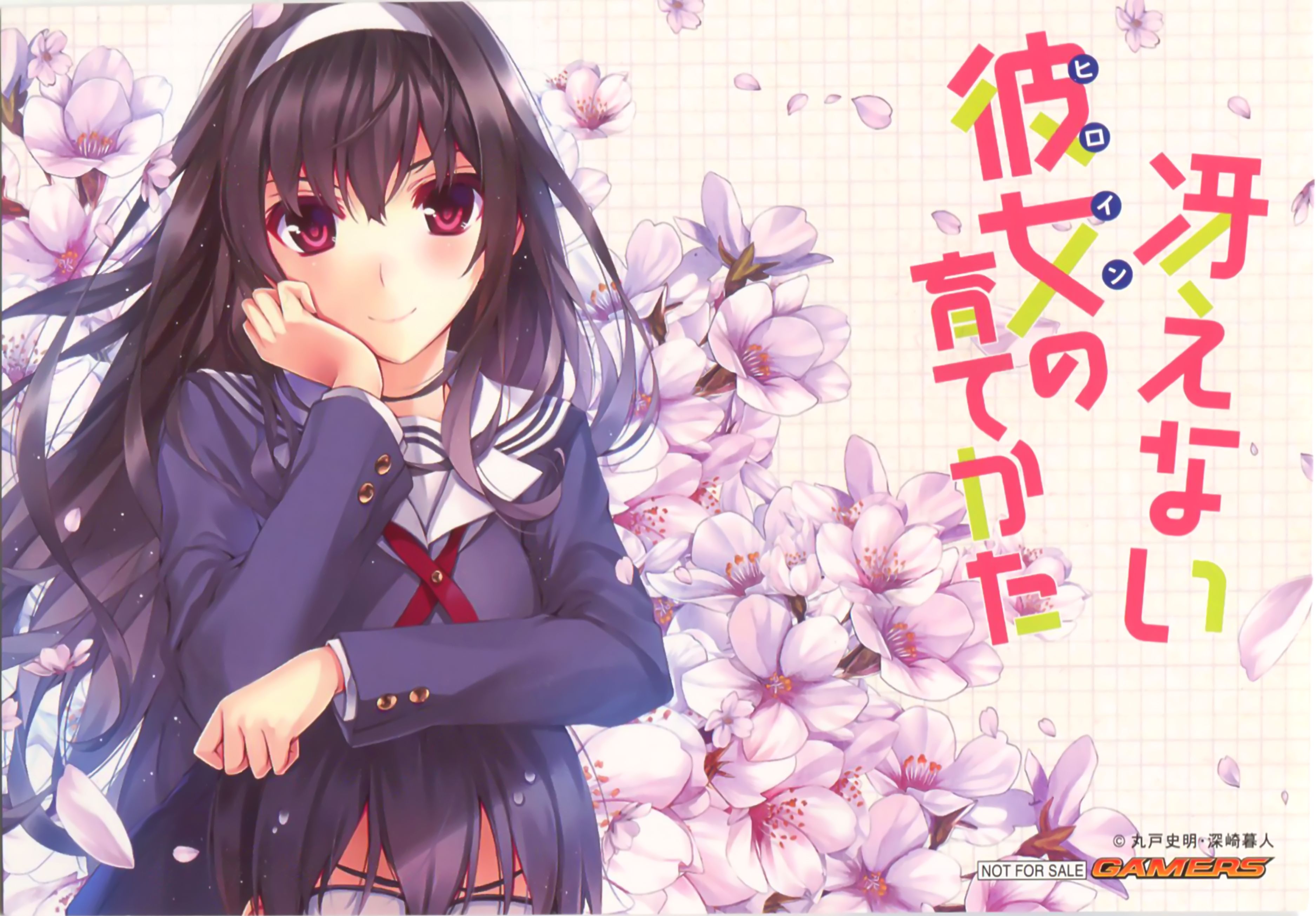 Baixe gratuitamente a imagem Anime, Saenai Hiroin No Sodatekata na área de trabalho do seu PC