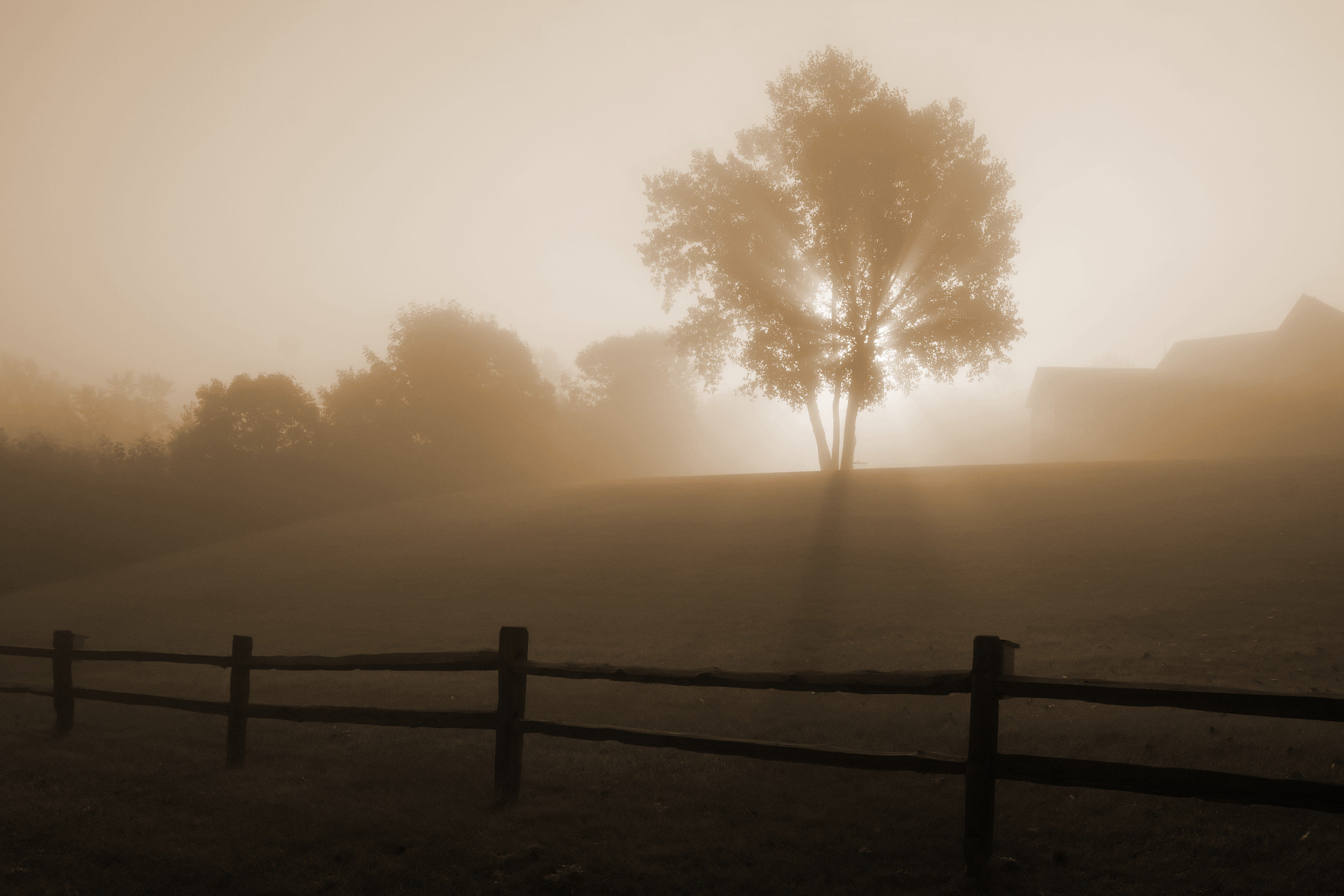 Baixar papel de parede para celular de Neblina, Terra/natureza gratuito.