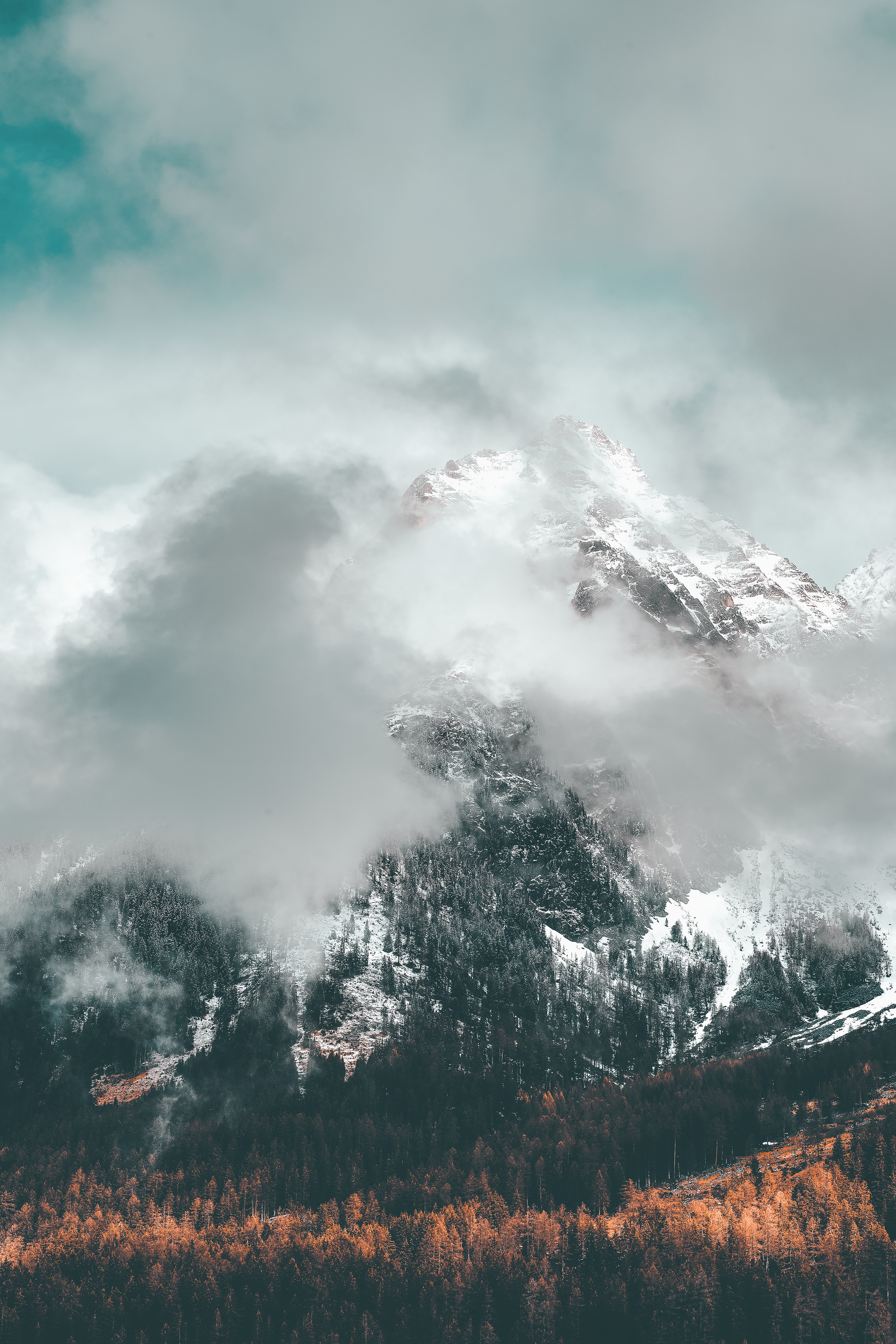nature, mountains, clouds, vertex, top, forest, snow covered, snowbound, slope