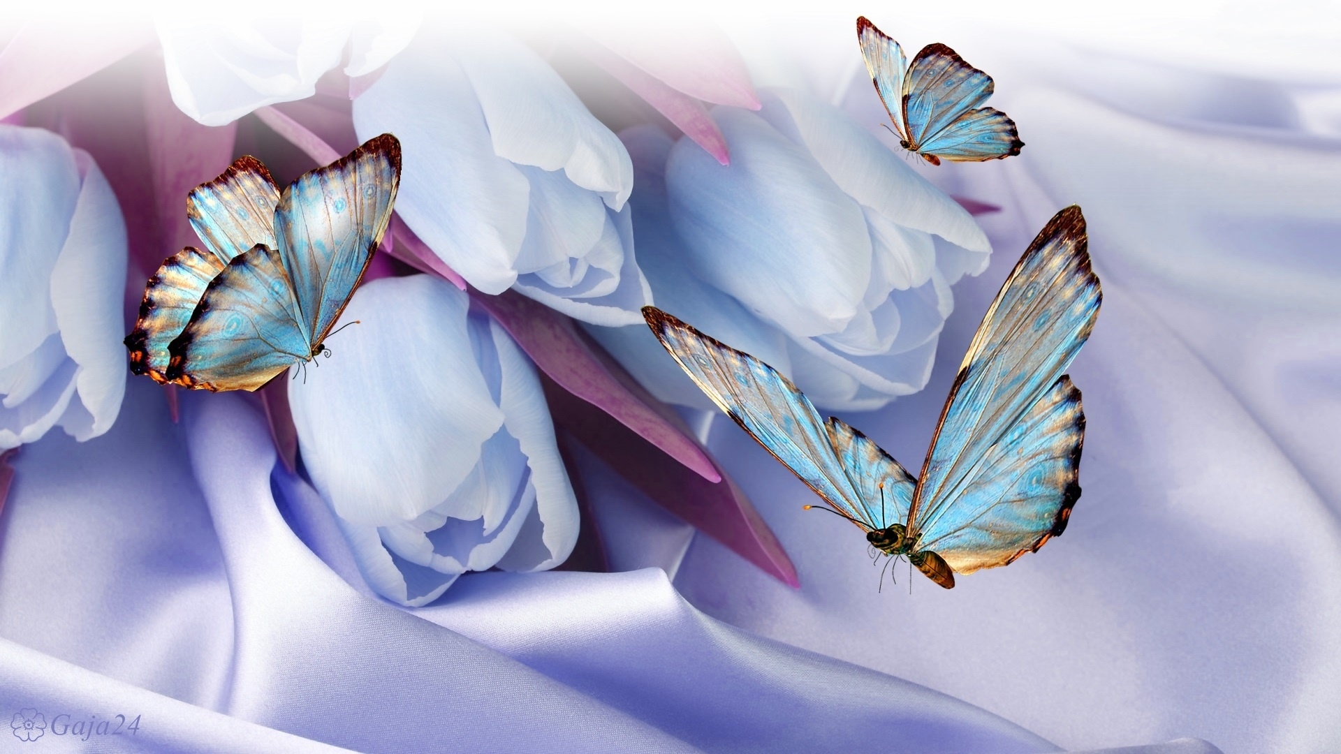 Download mobile wallpaper Butterfly, Artistic, Tulip for free.