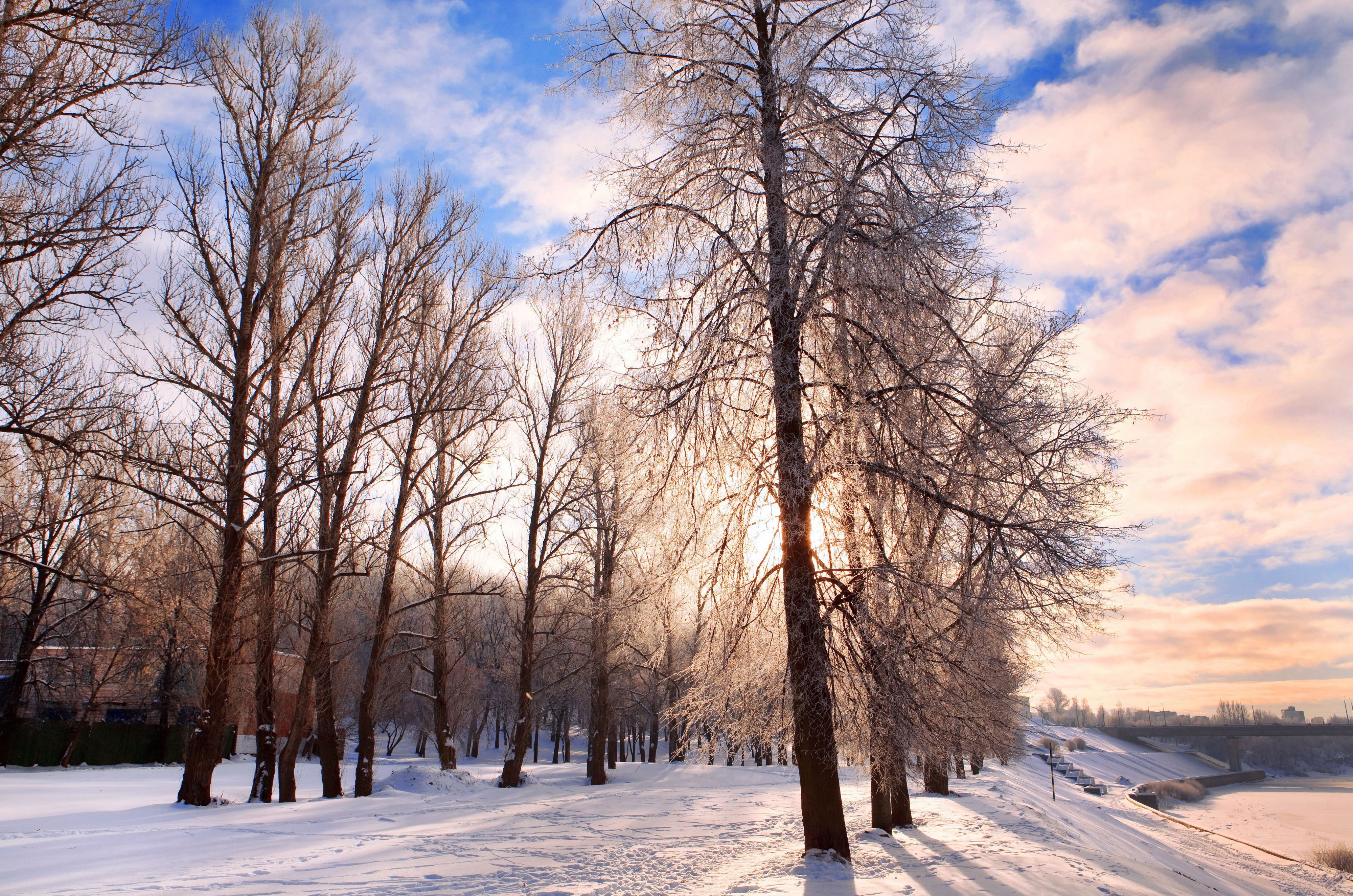 Download mobile wallpaper Winter, Earth for free.