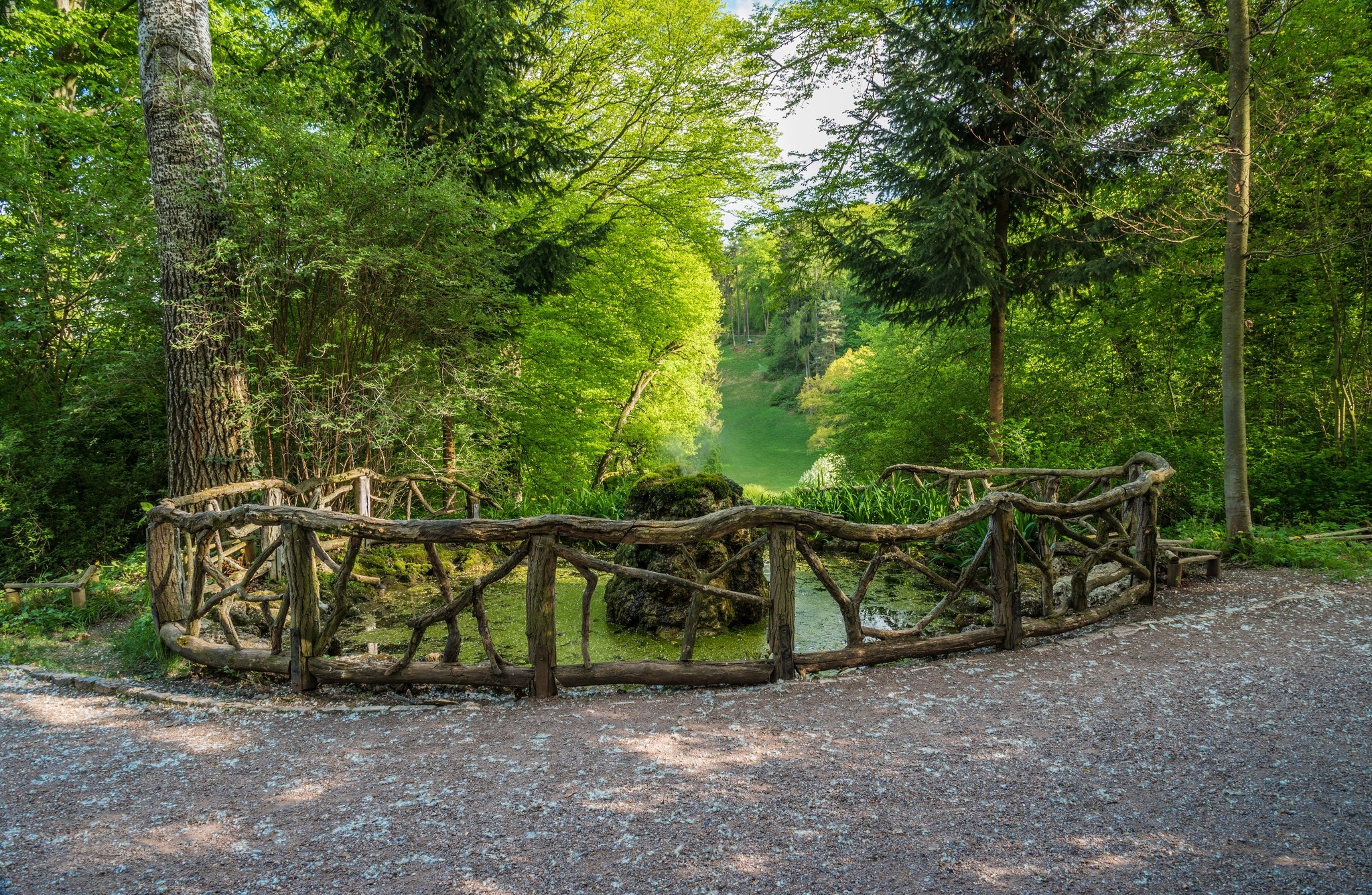 Laden Sie das Wald, Erde/natur-Bild kostenlos auf Ihren PC-Desktop herunter