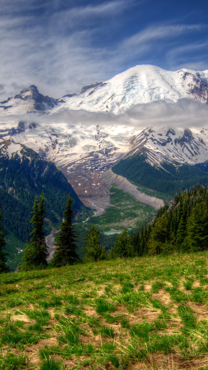 Download mobile wallpaper Mountains, Snow, Mountain, Forest, Tree, Earth, Mount Rainier for free.