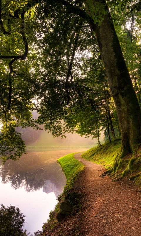 Download mobile wallpaper Nature, Reflection, Tree, Earth, Path, River for free.