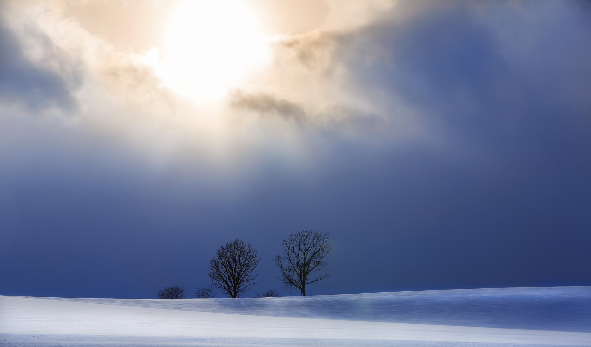 Download mobile wallpaper Winter, Nature, Snow, Tree, Earth, Sunbeam for free.