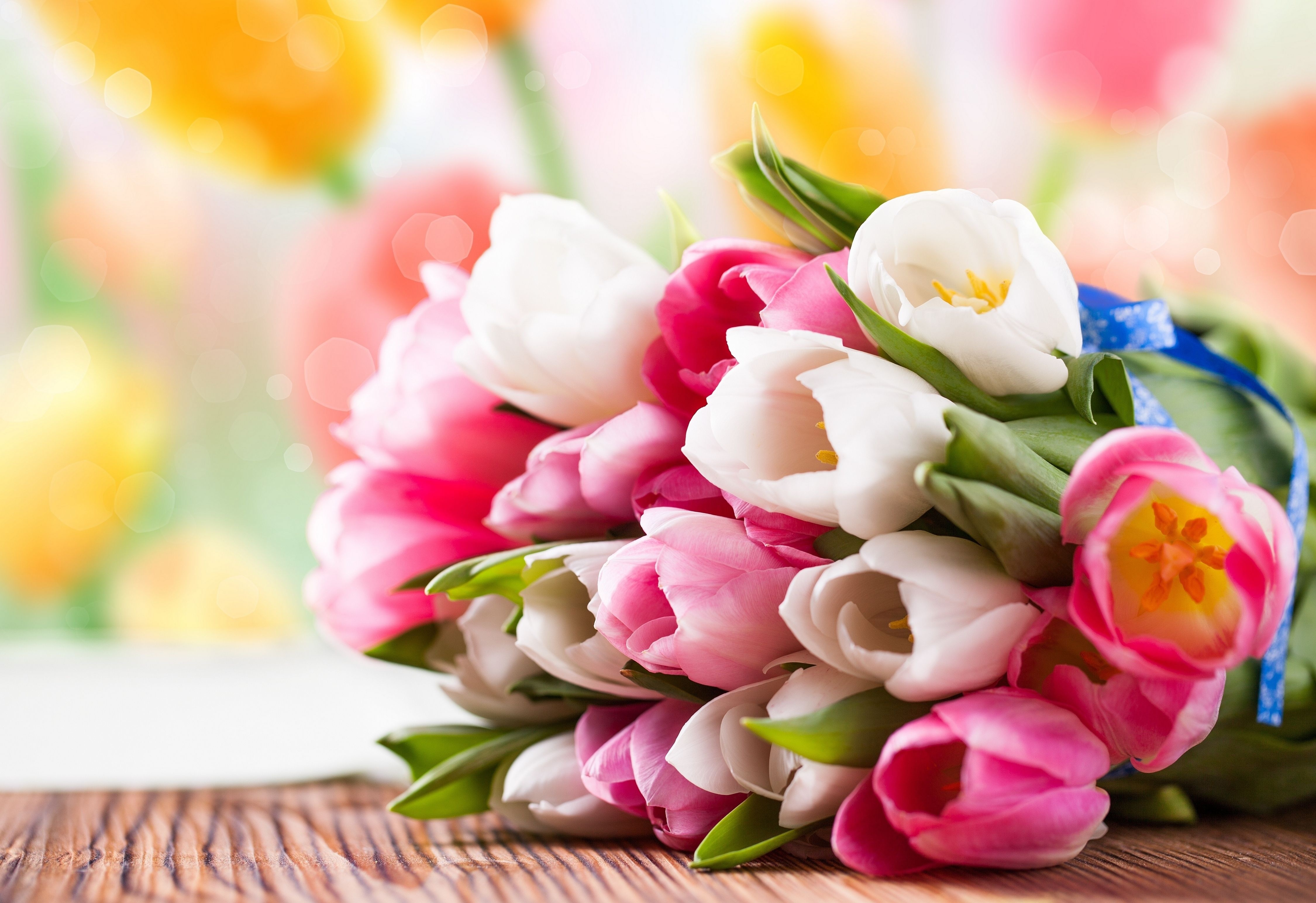 20314 завантажити картинку тюльпани, букети, квіти, рослини - шпалери і заставки безкоштовно