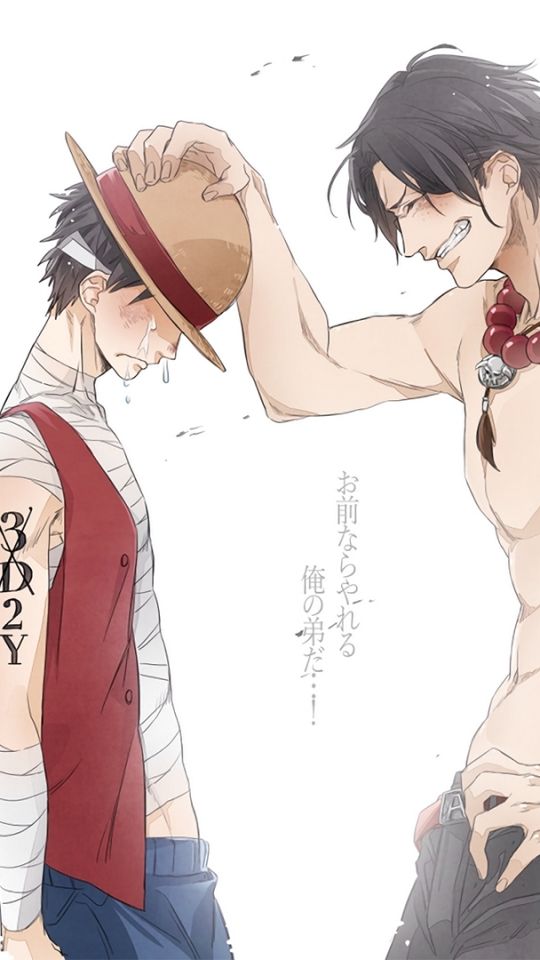 Download mobile wallpaper Anime, Portgas D Ace, One Piece, Monkey D Luffy for free.