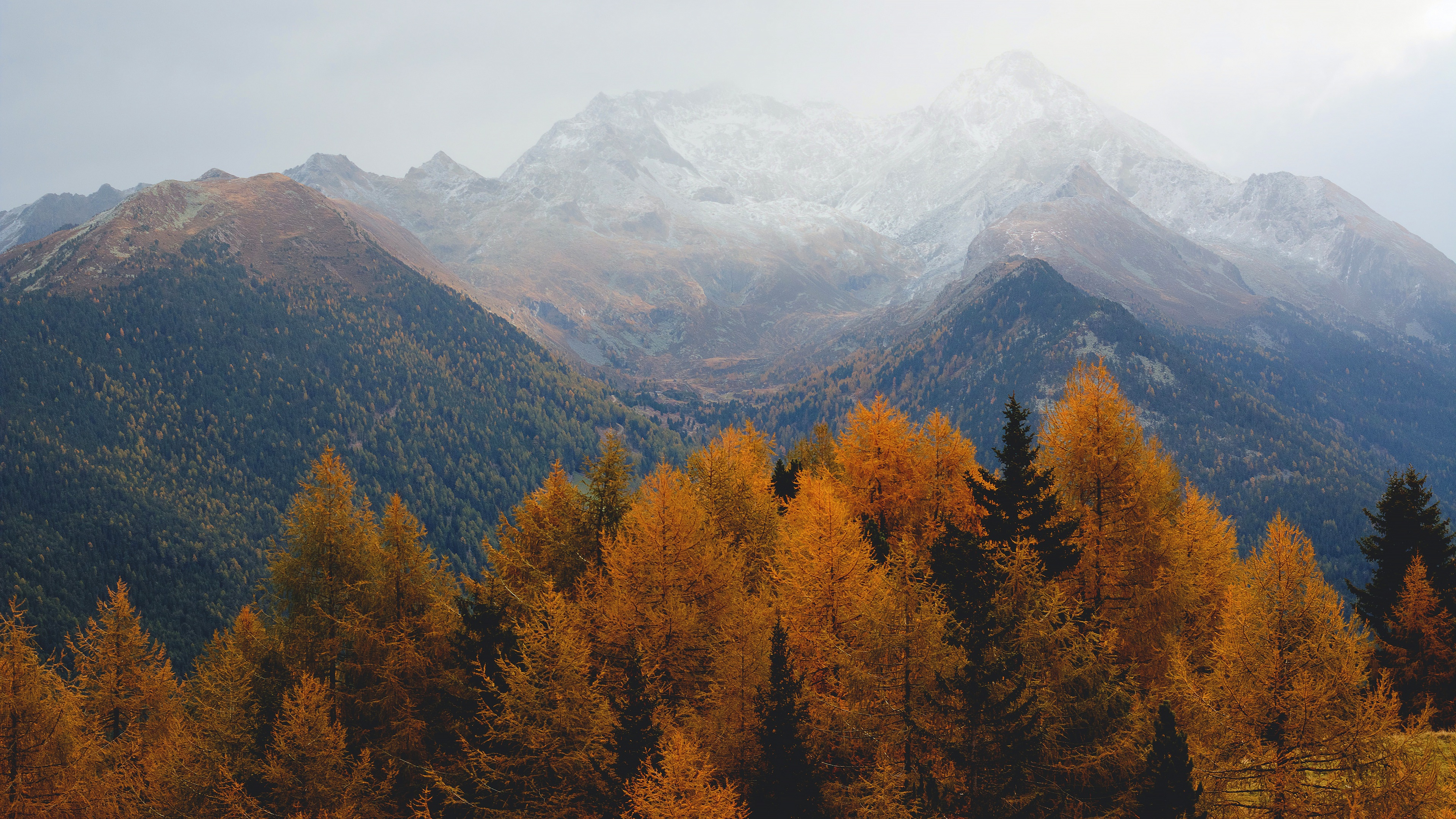 Descarga gratuita de fondo de pantalla para móvil de Otoño, Montaña, Bosque, Niebla, Tierra/naturaleza.